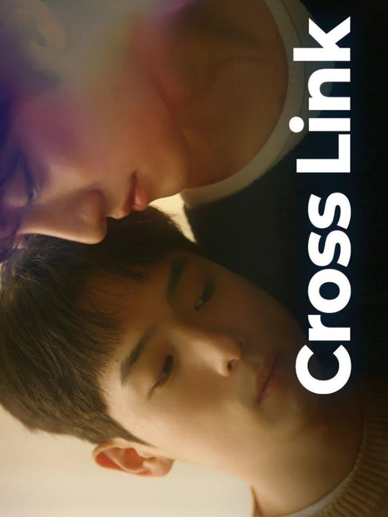 Cross Link preview 2