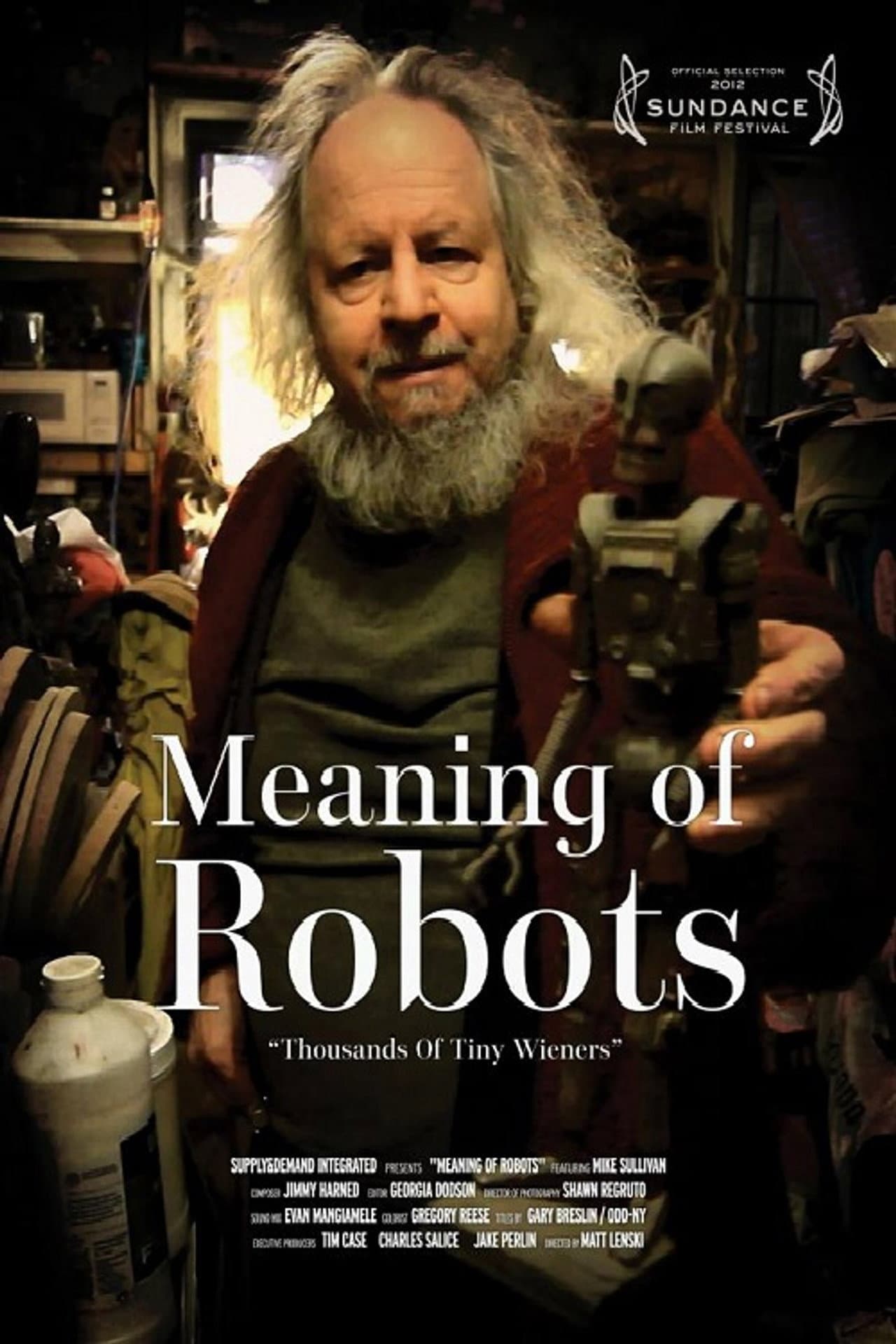 Meaning of Robots preview 1