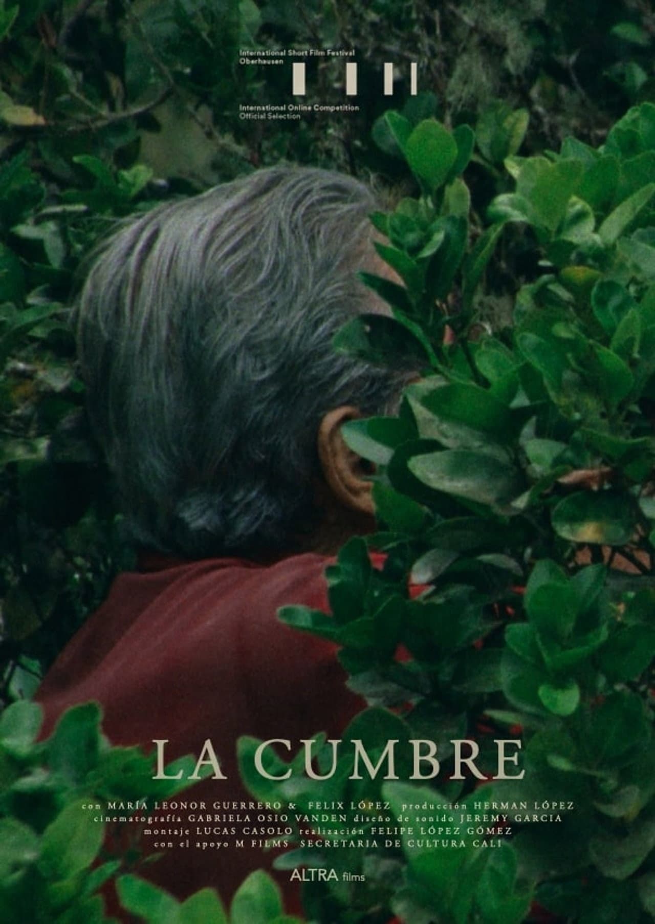 La Cumbre preview 1
