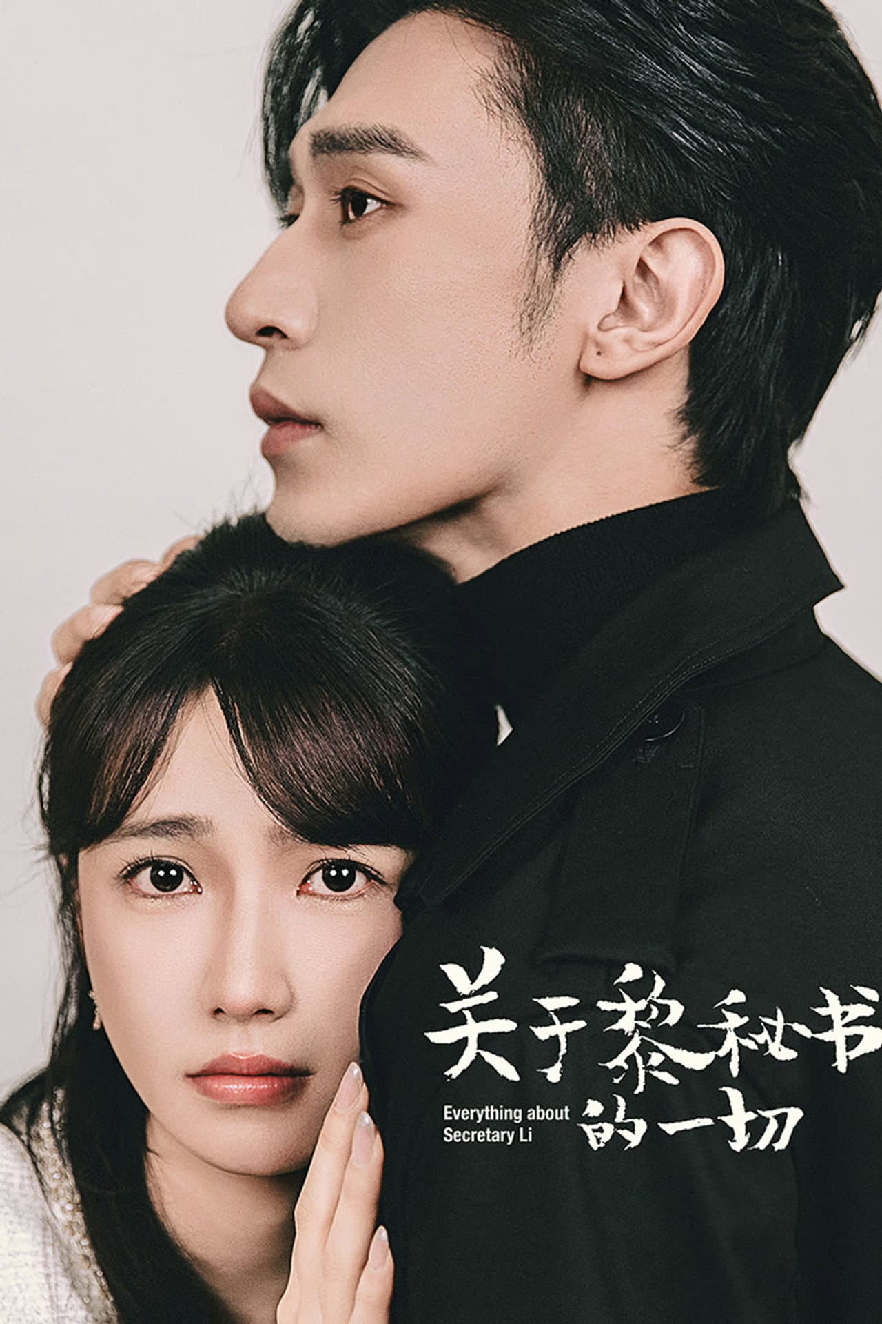 Everything About Secretary Li preview 2