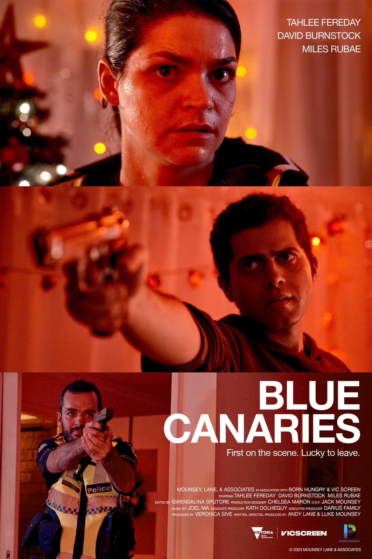 Blue Canaries preview 2