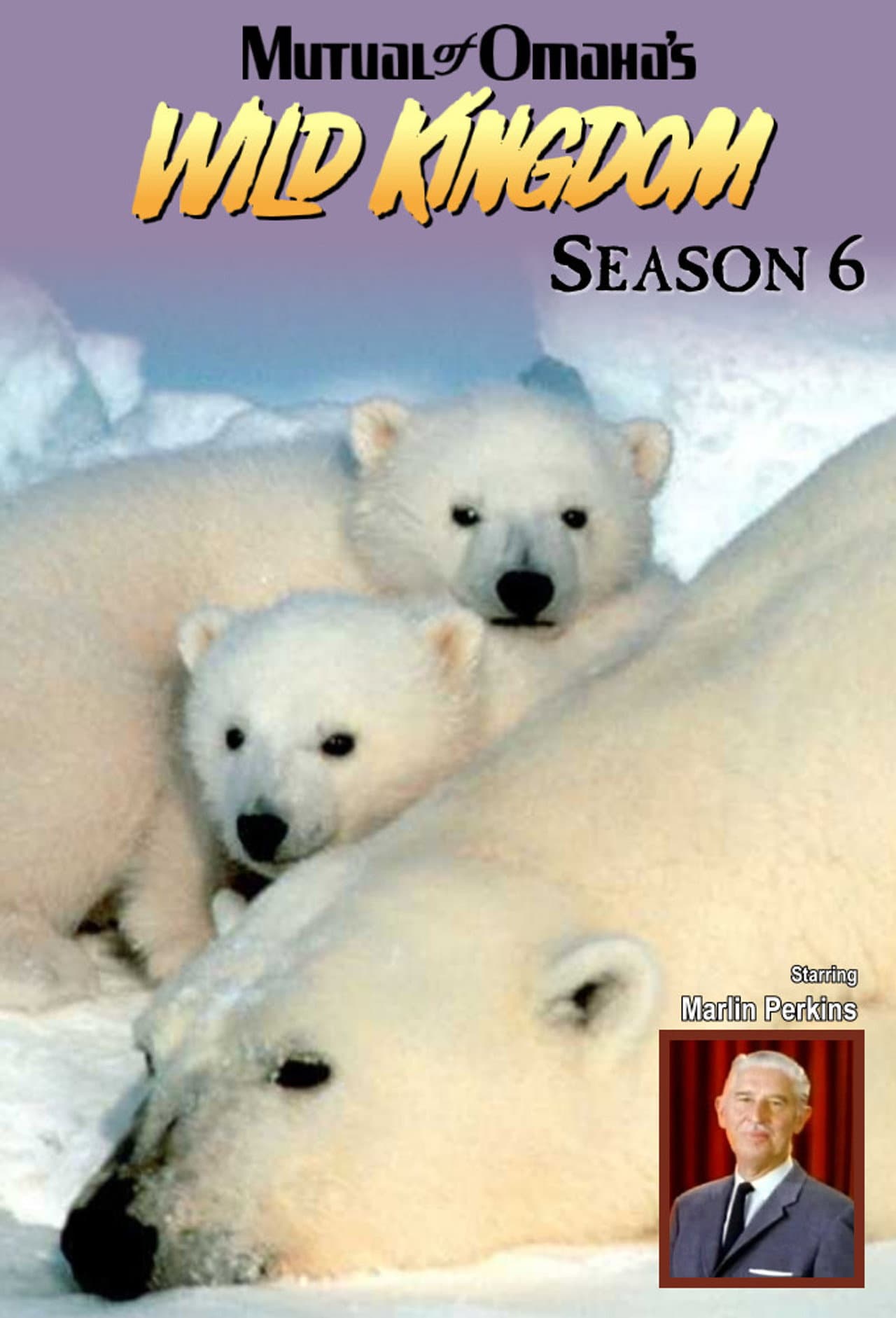 Season 6