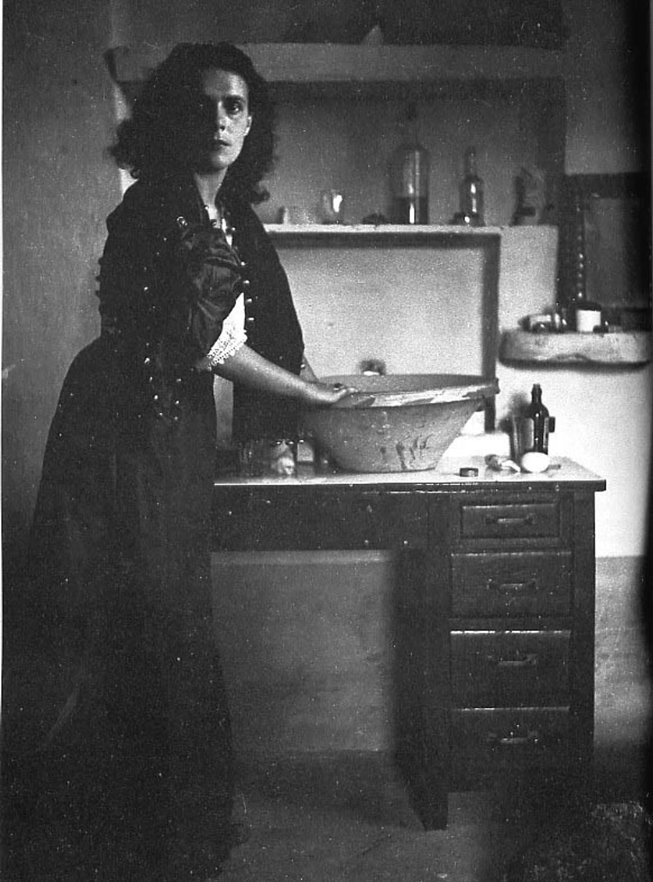 Leonora Carrington or The Ironic Spell preview 1