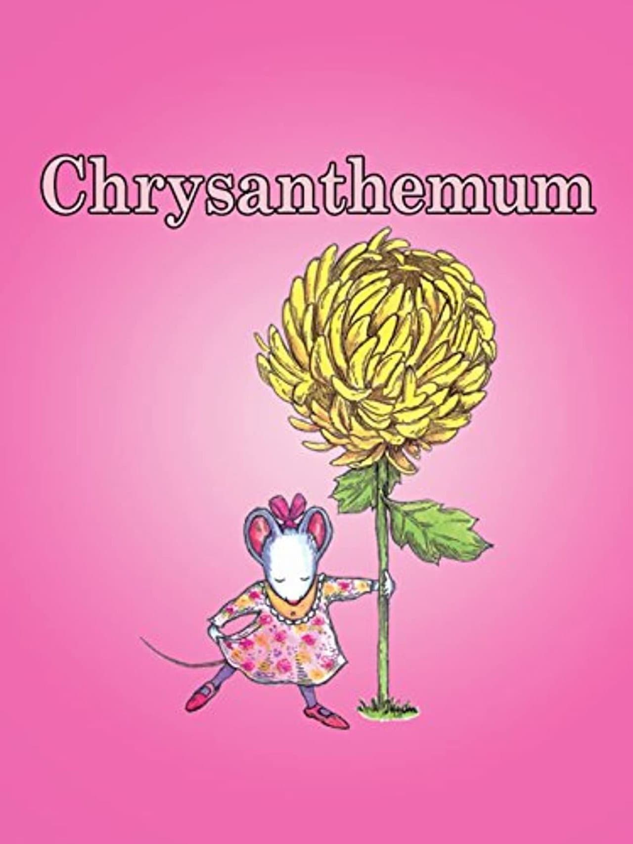 Chrysanthemum preview 2