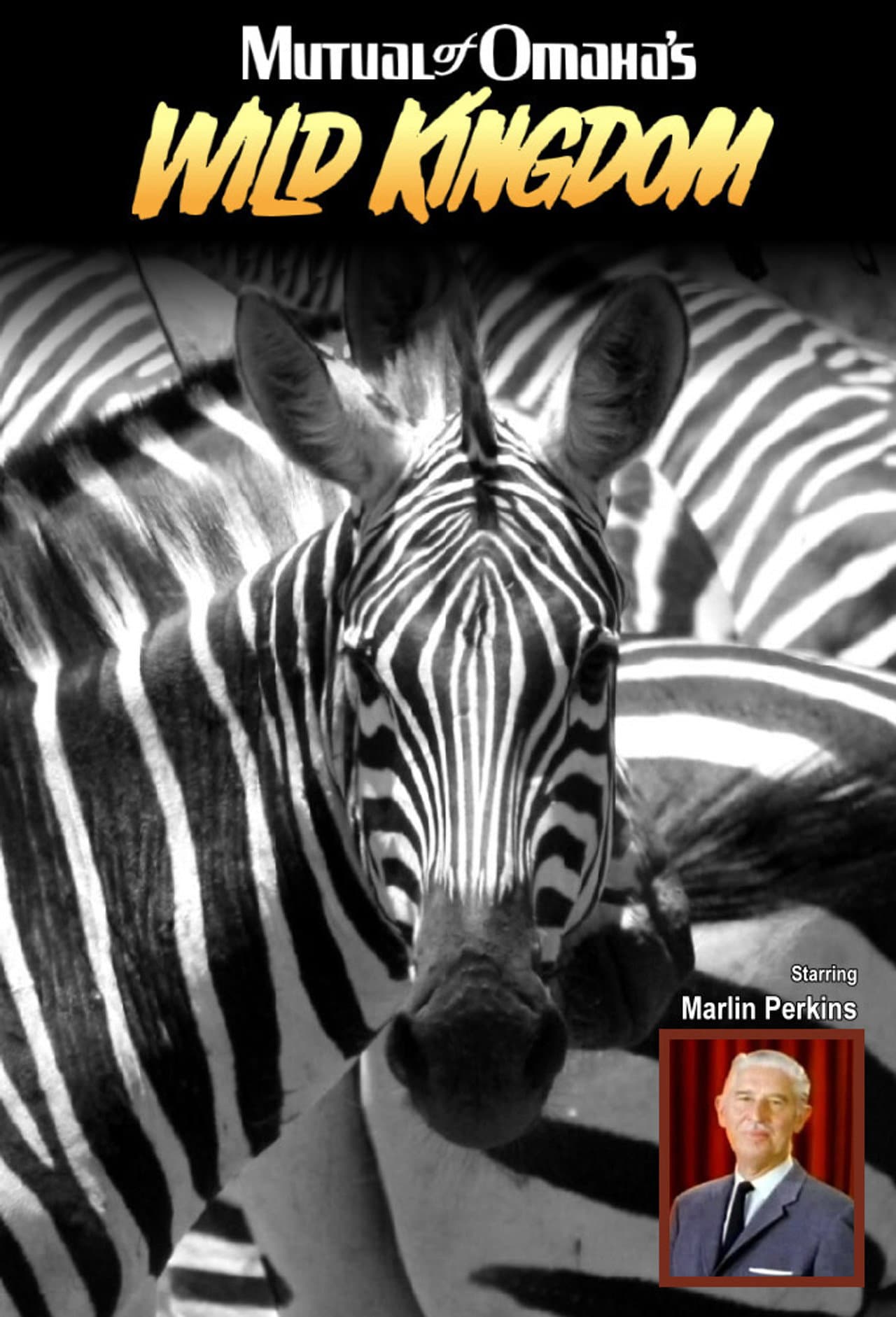 Mutual of Omaha's Wild Kingdom preview 2