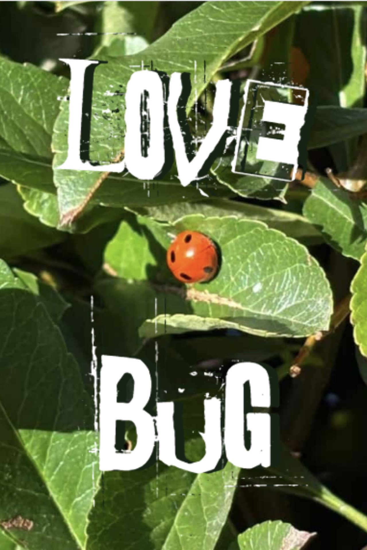 Lovebug preview 2