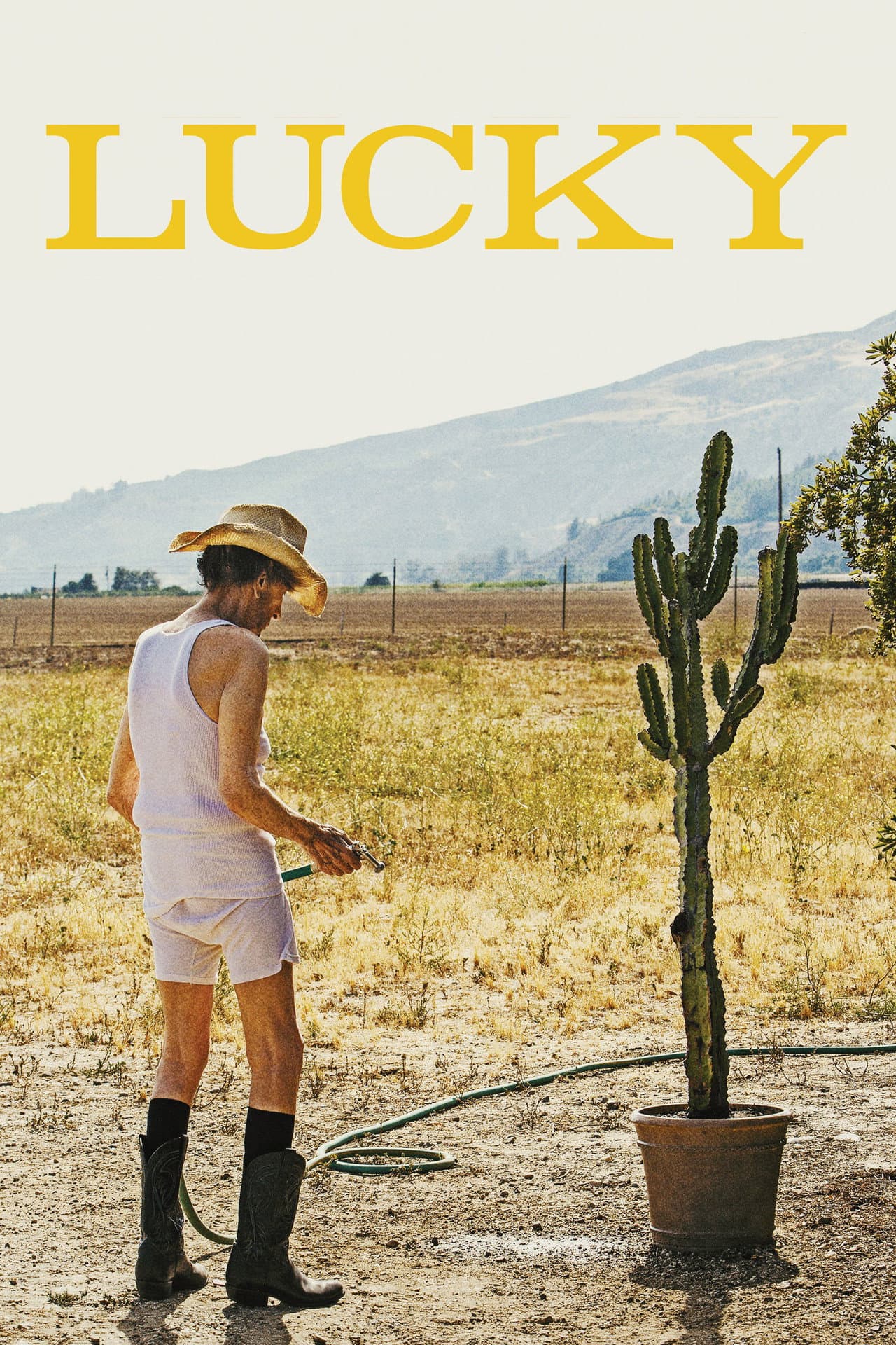 Lucky preview 2