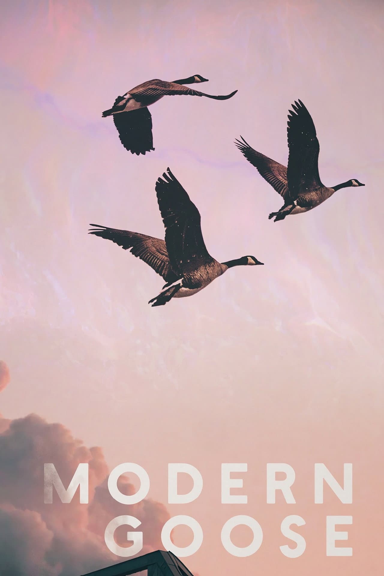 Modern Goose preview 2