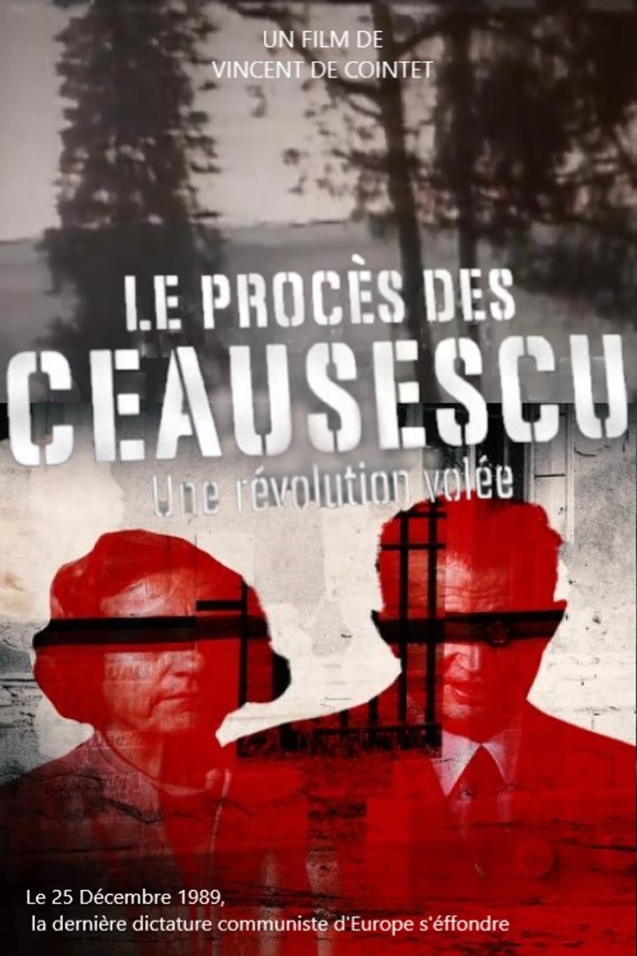 The Ceausescu Trial: A Stolen Revolution preview 2