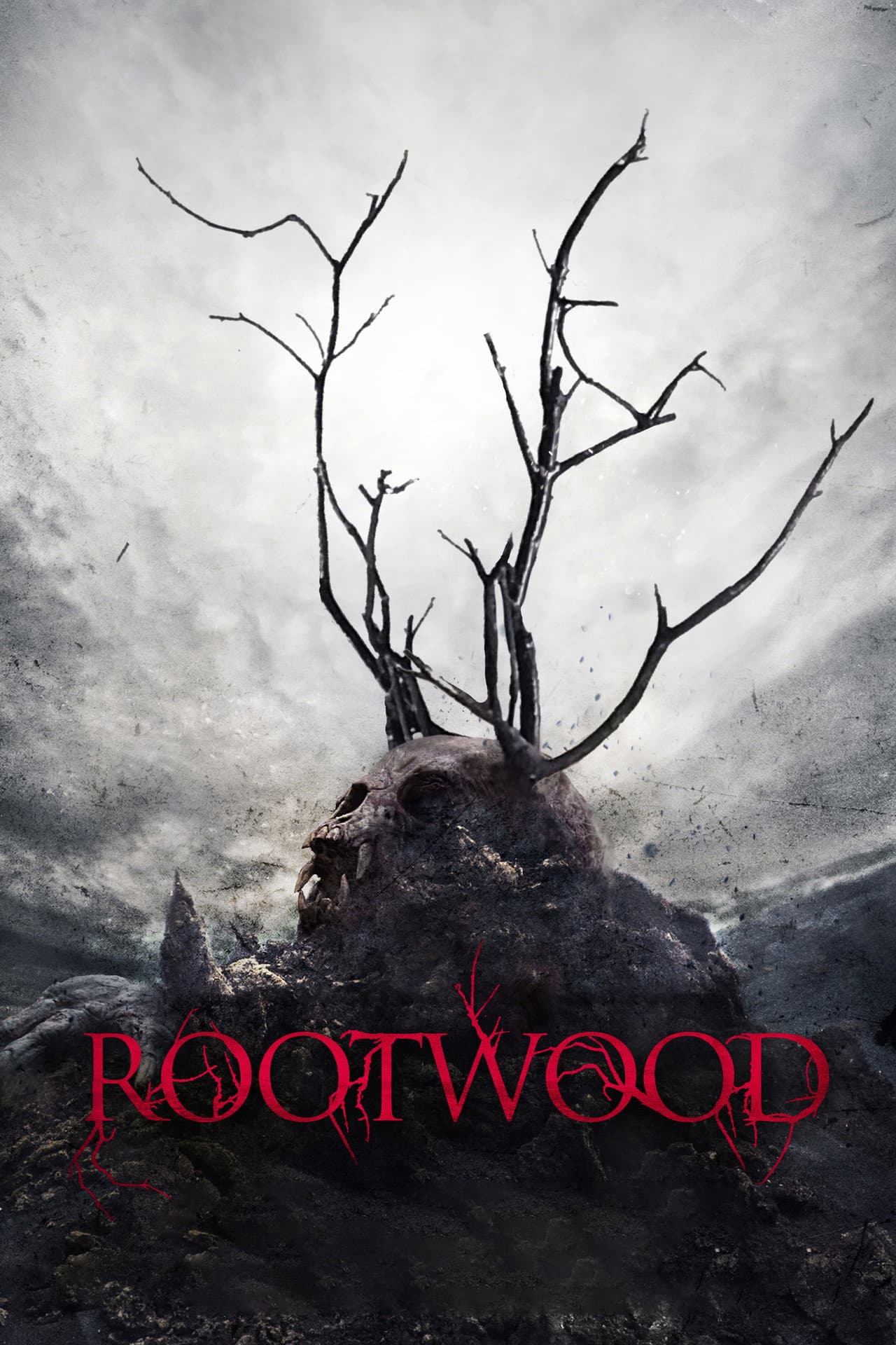 Rootwood preview 2
