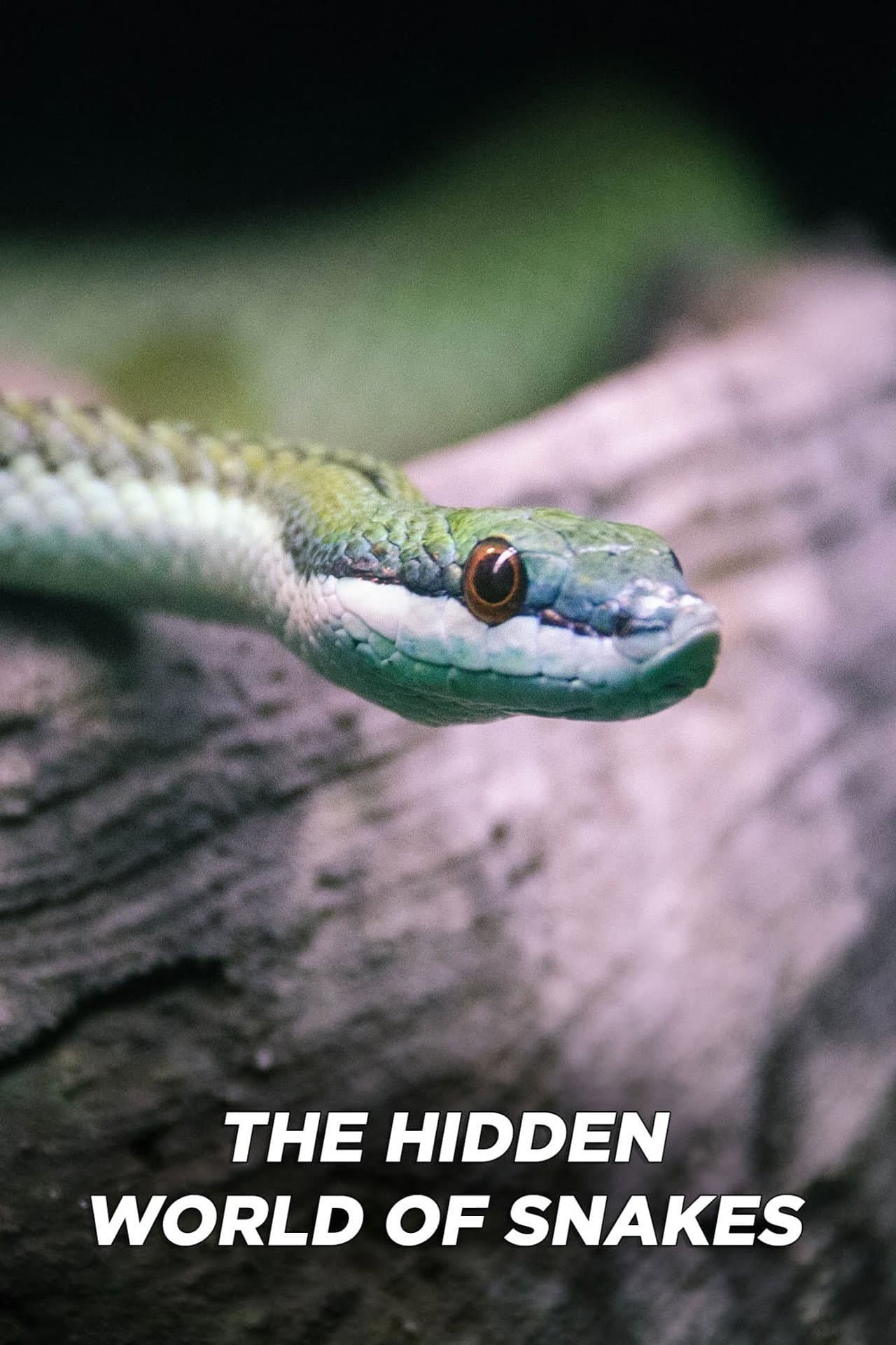The Hidden World of Snakes preview 2