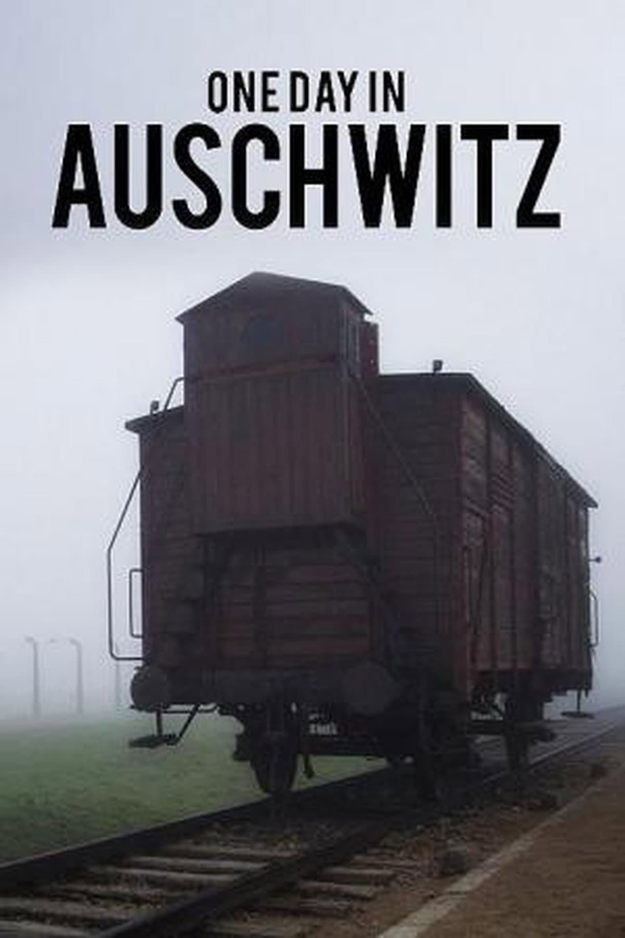 Auschwitz - One Day preview 2