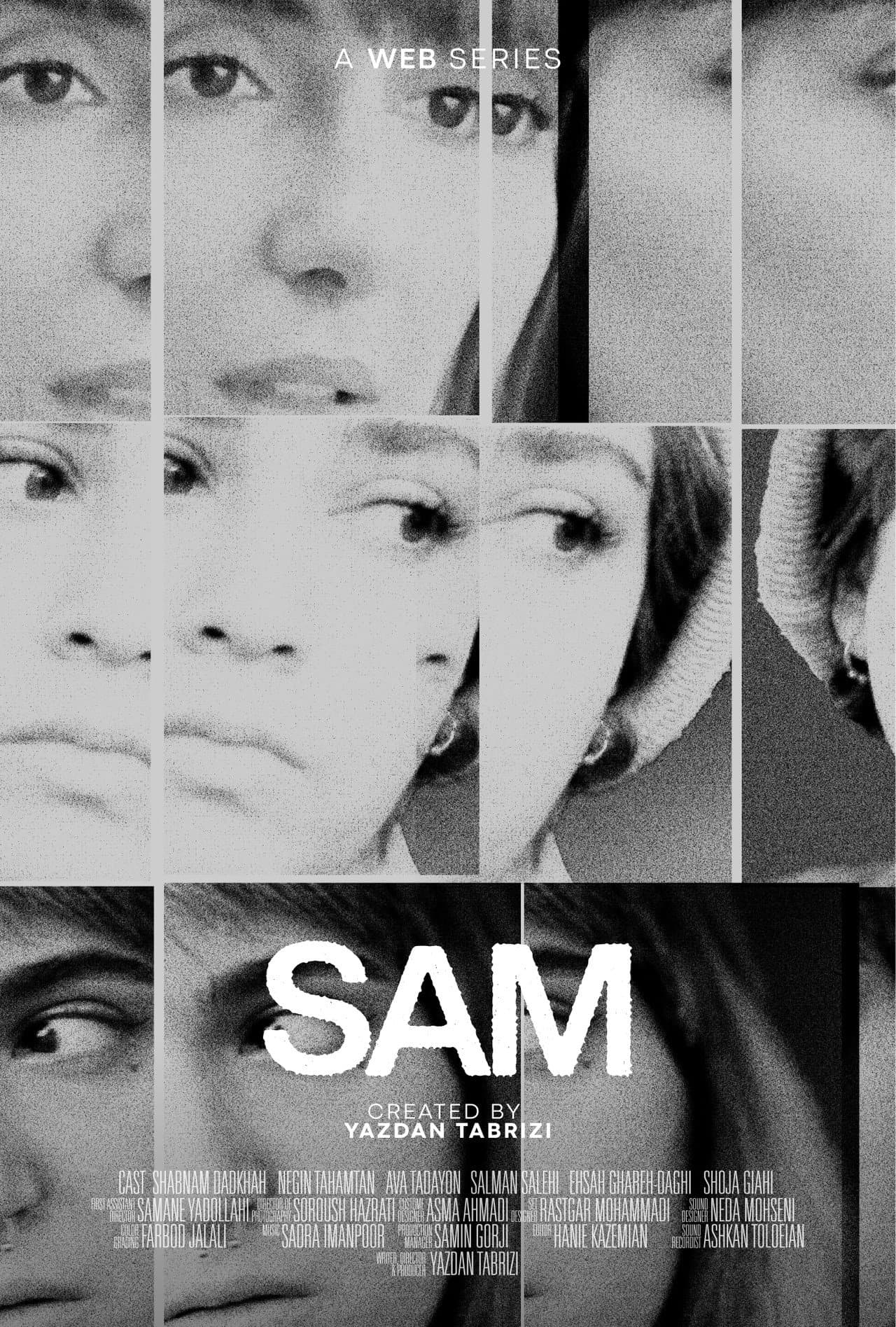 SAM preview 2