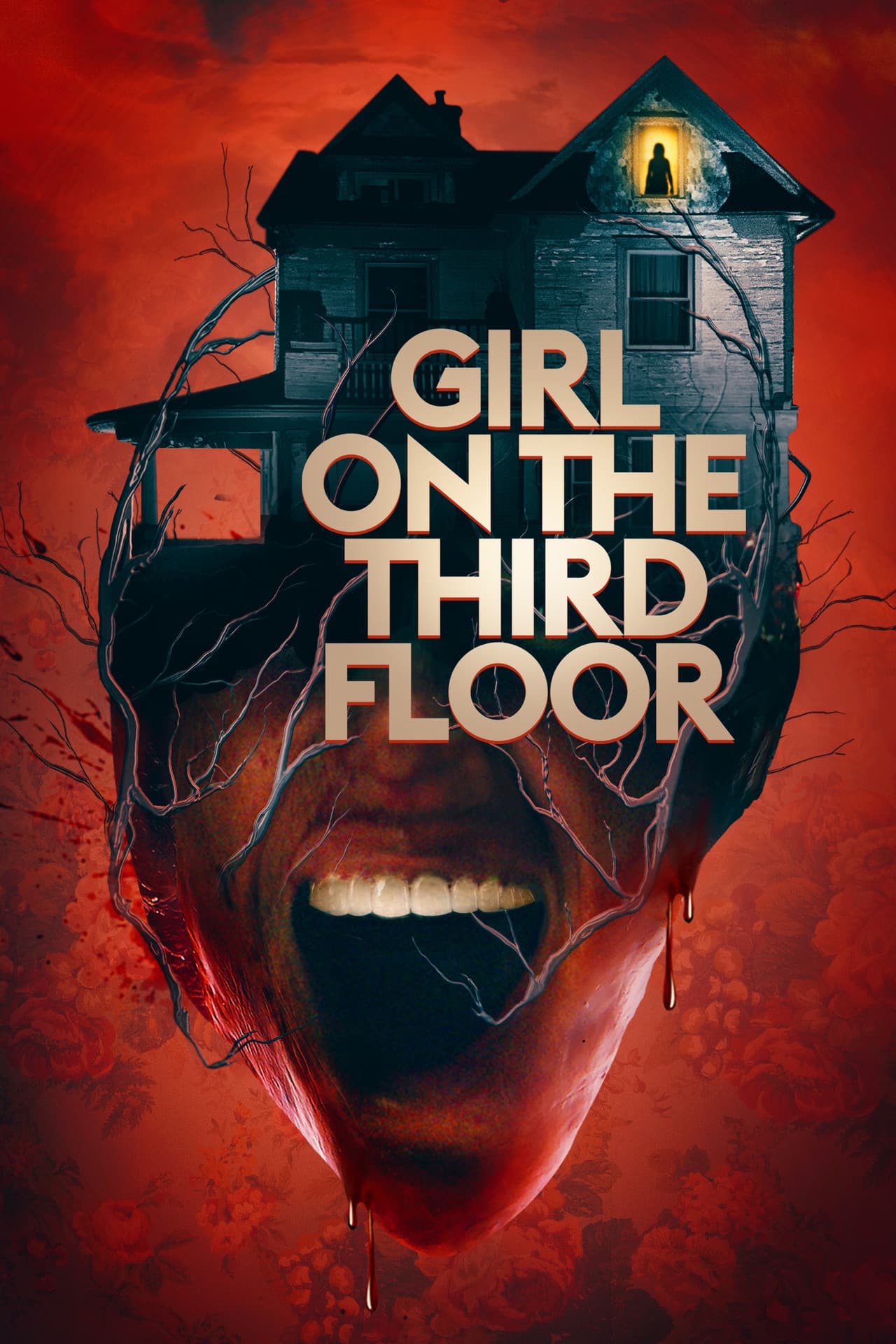 Girl on the Third Floor preview 2