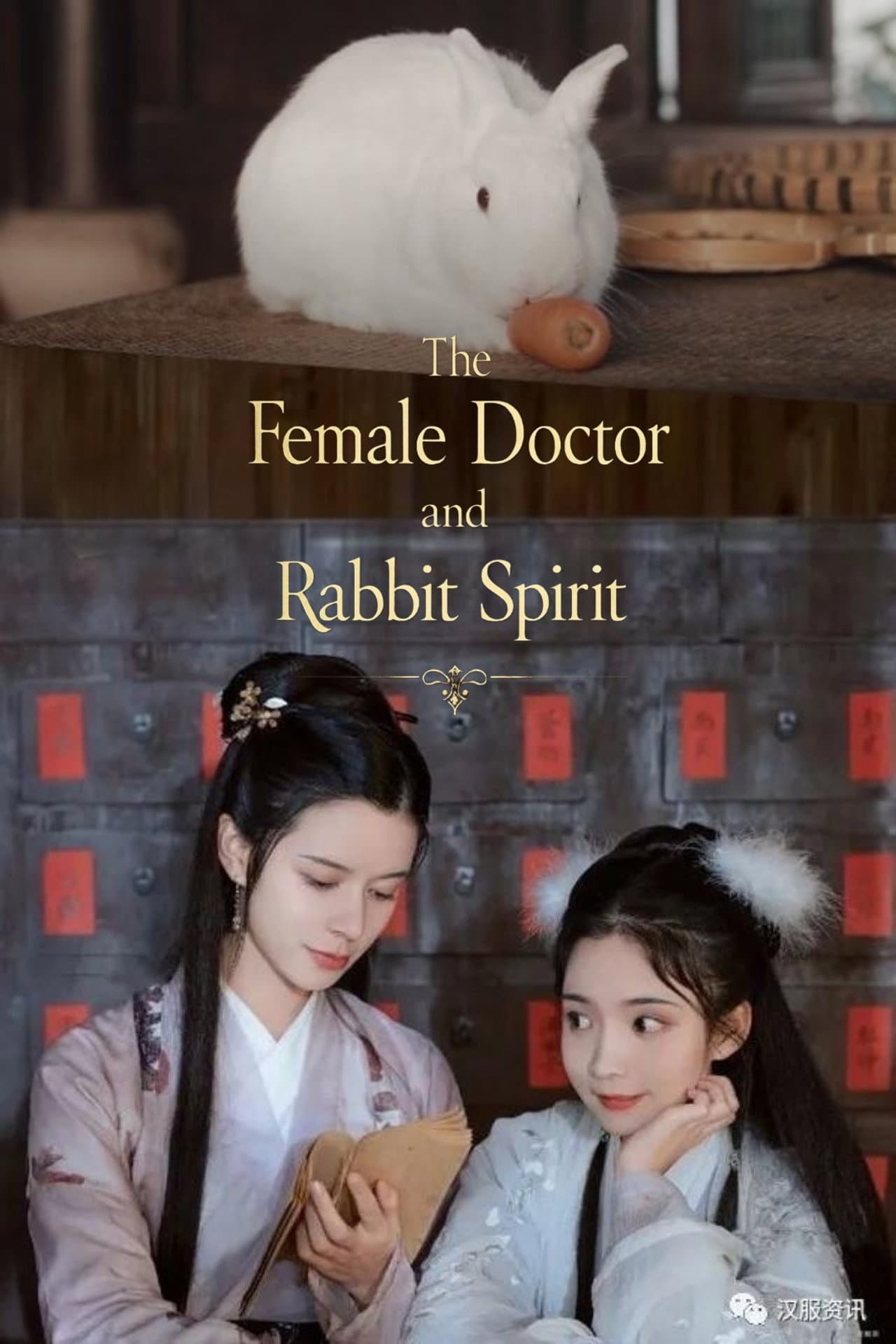 The Female Doctor and The Rabbit Spirit preview 2
