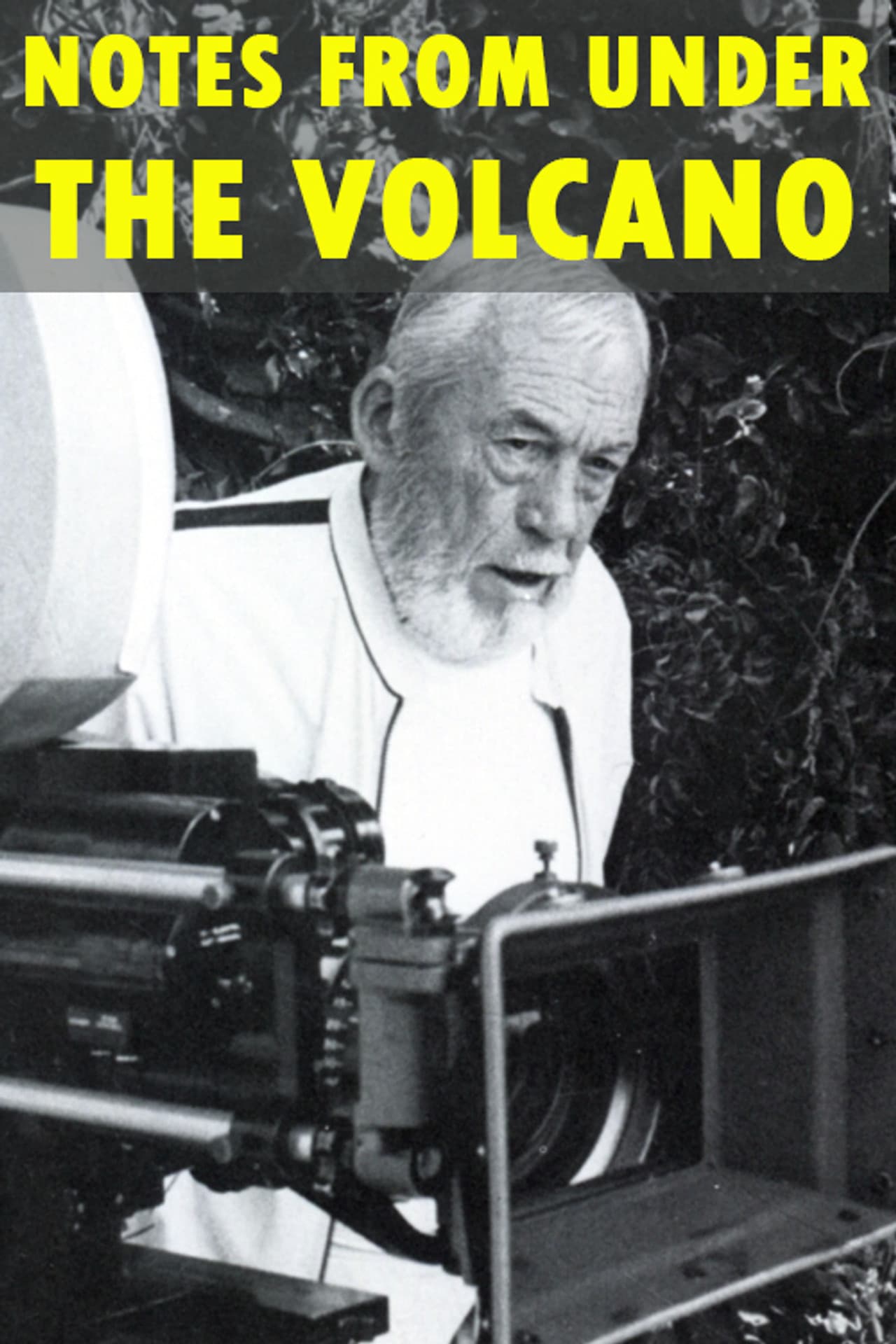 Notes from Under the Volcano preview 1
