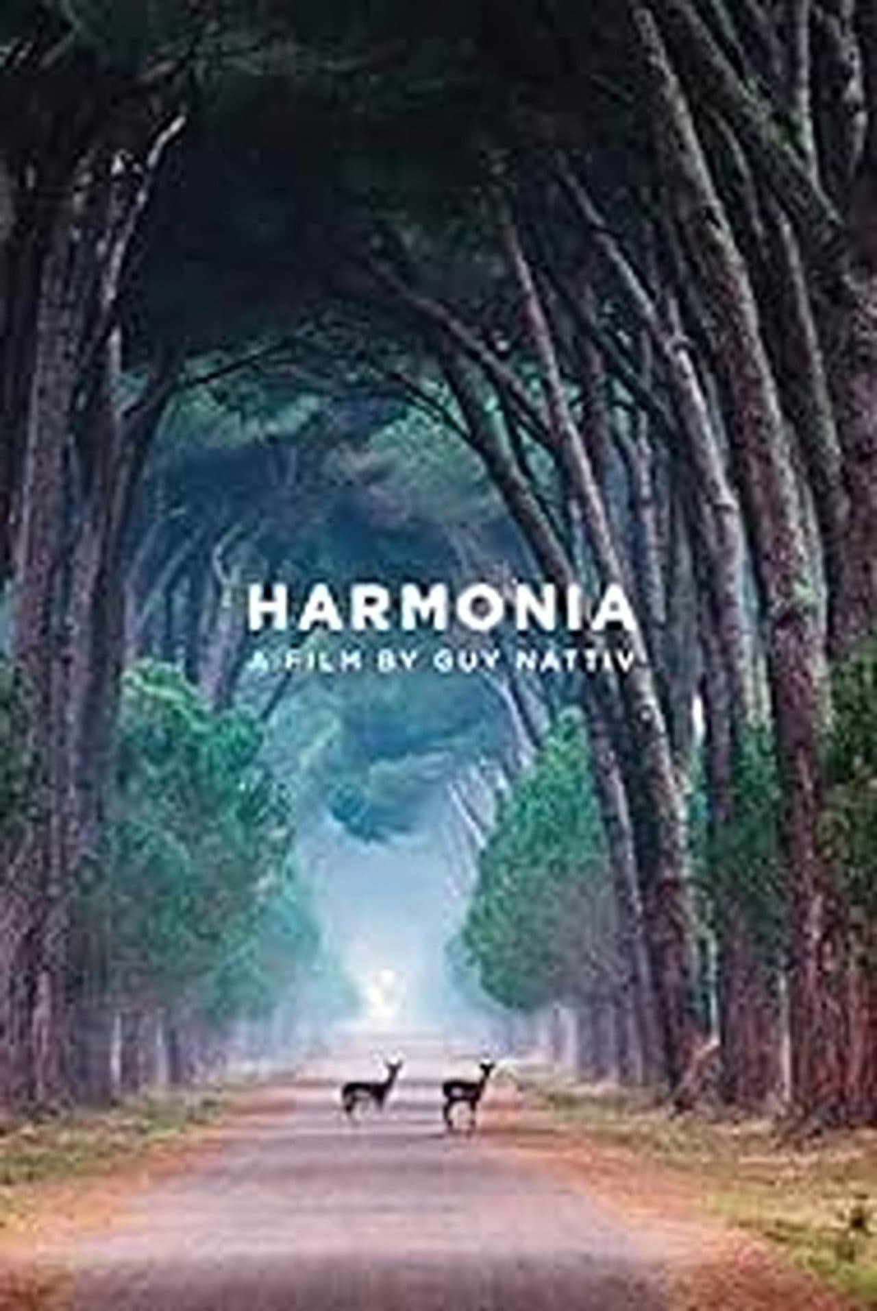 Harmonia preview 2