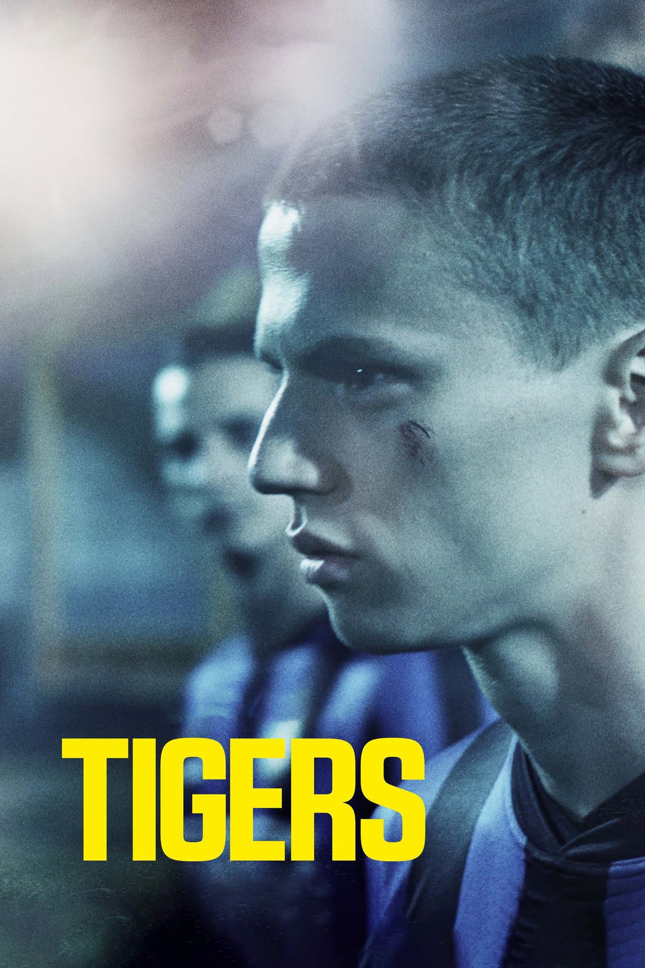 Tigers preview 2
