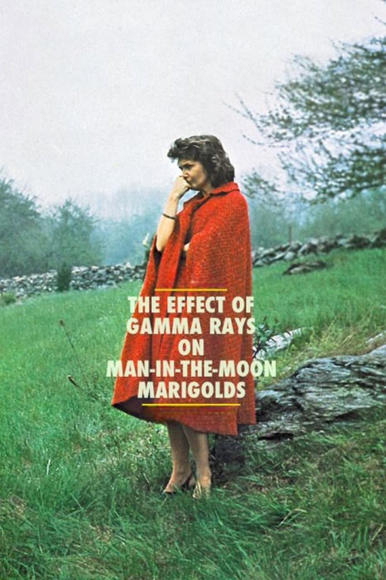 The Effect of Gamma Rays on Man-in-the-Moon Marigolds preview 2