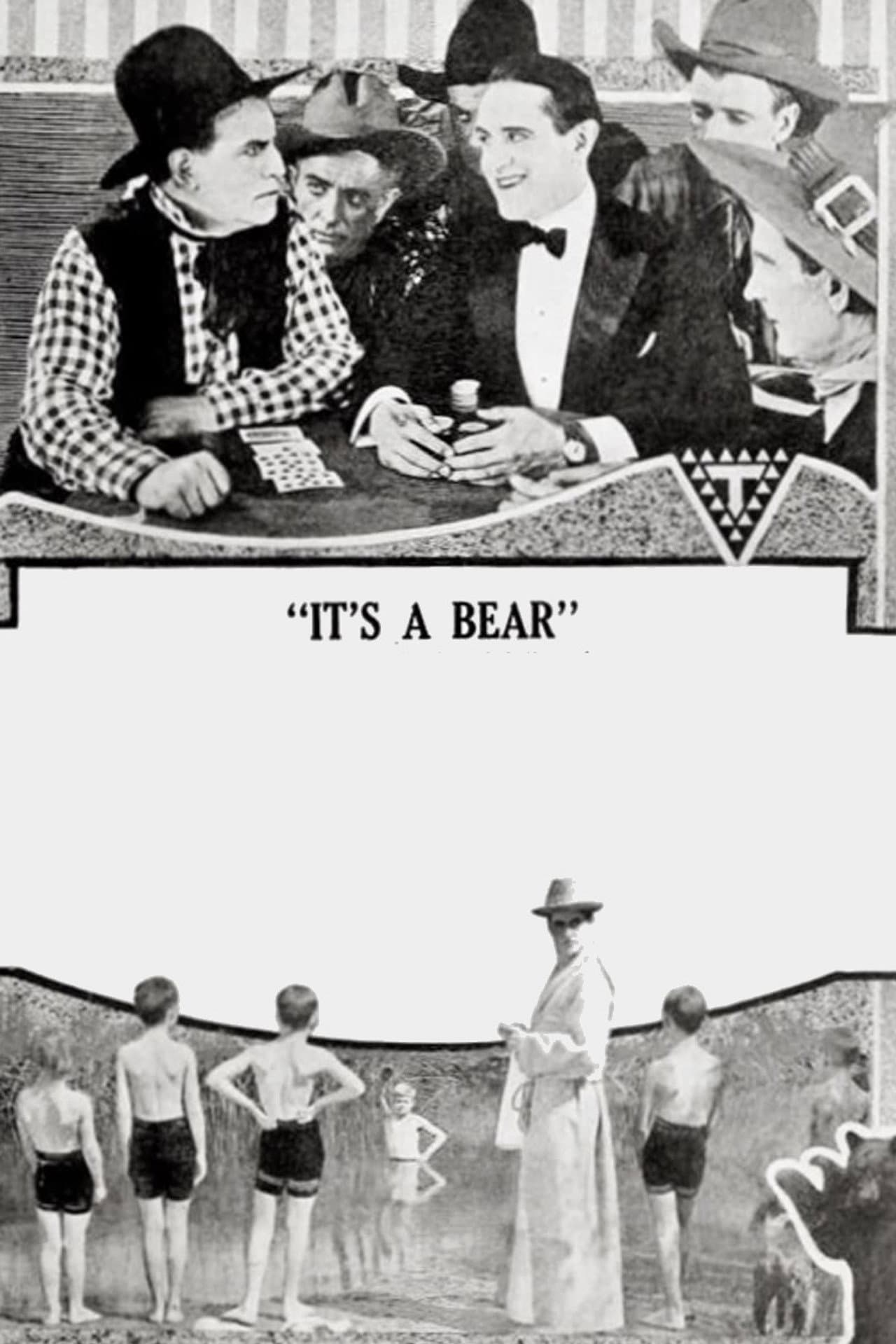 It's a Bear preview 2