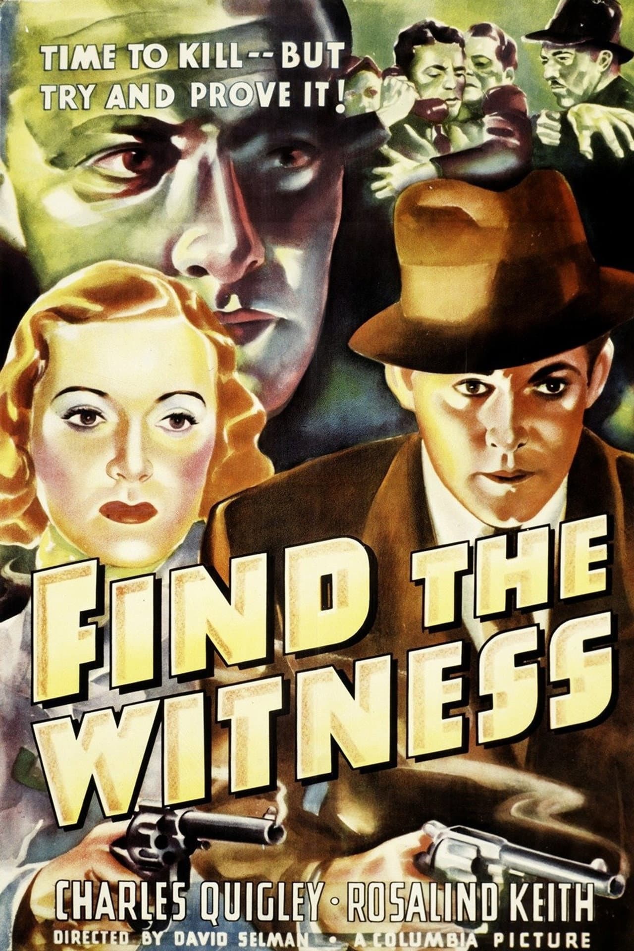 Find the Witness preview 1