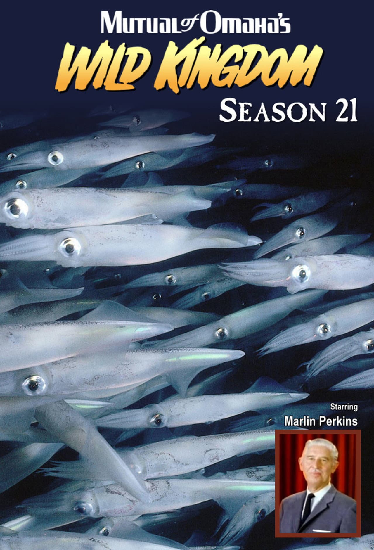 Season 21
