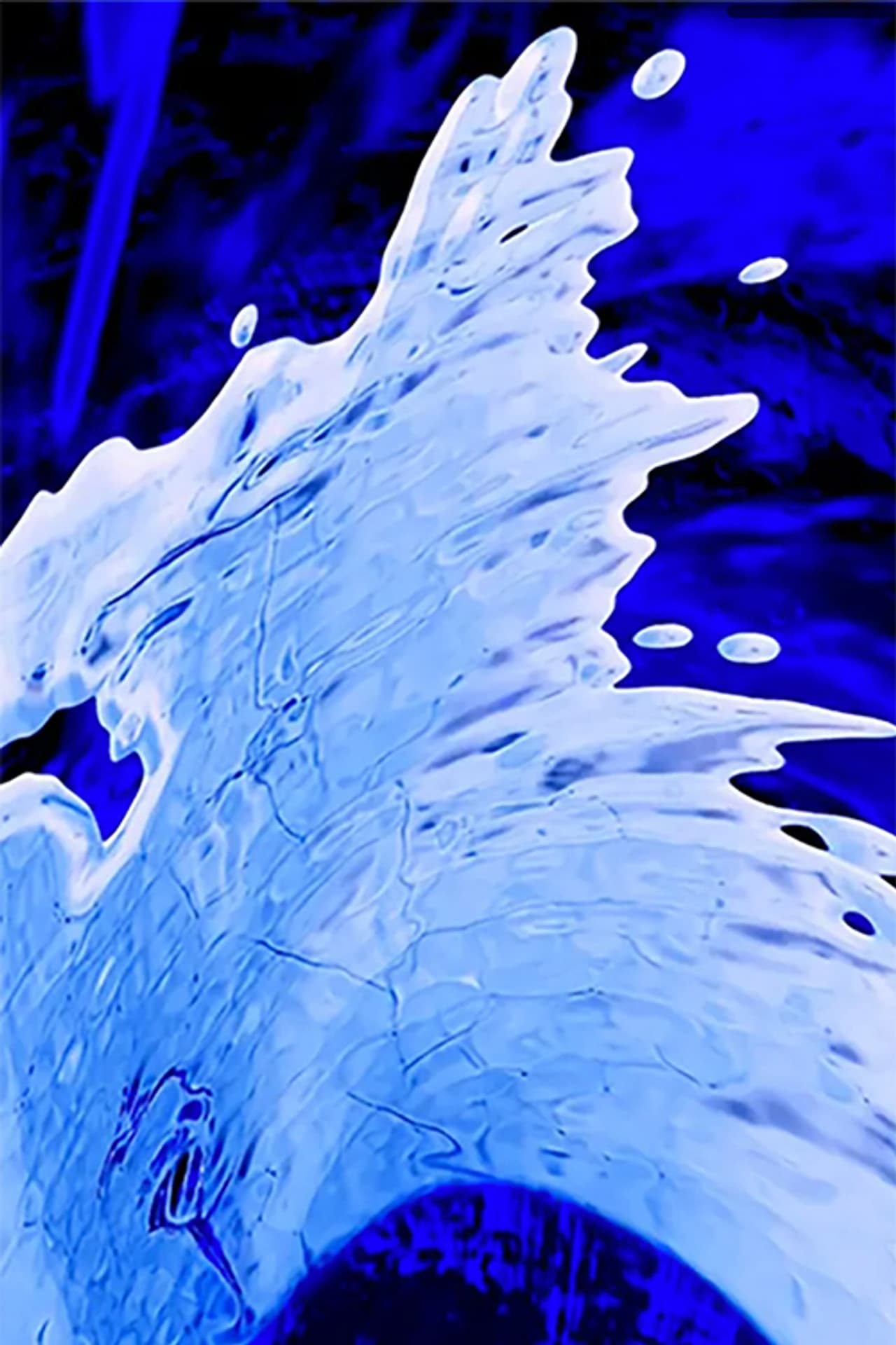 Flux preview 1