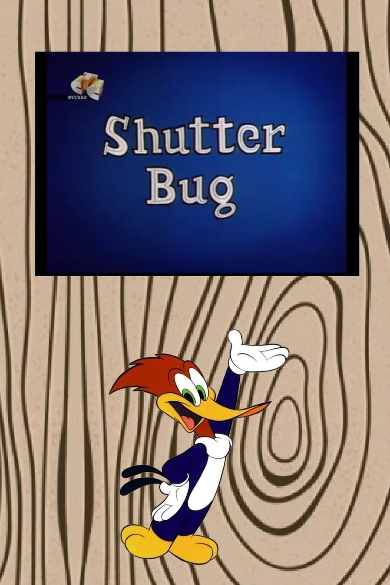 Shutter Bug preview 2