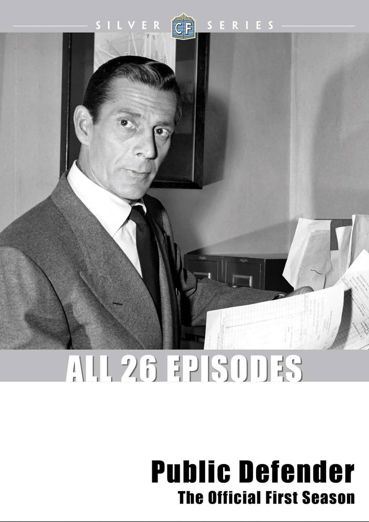 Public Defender preview 1