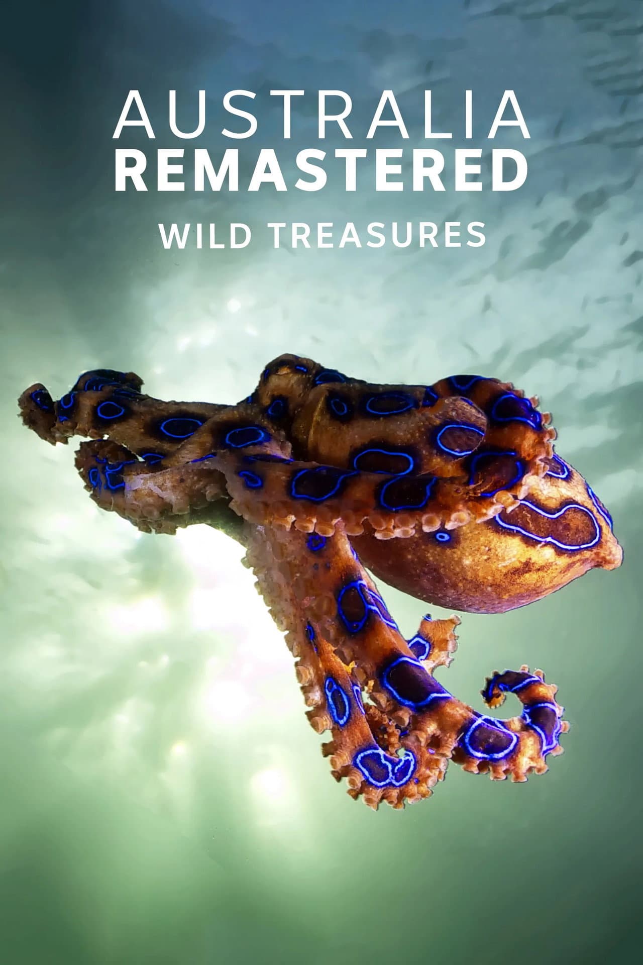 Wild Treasures