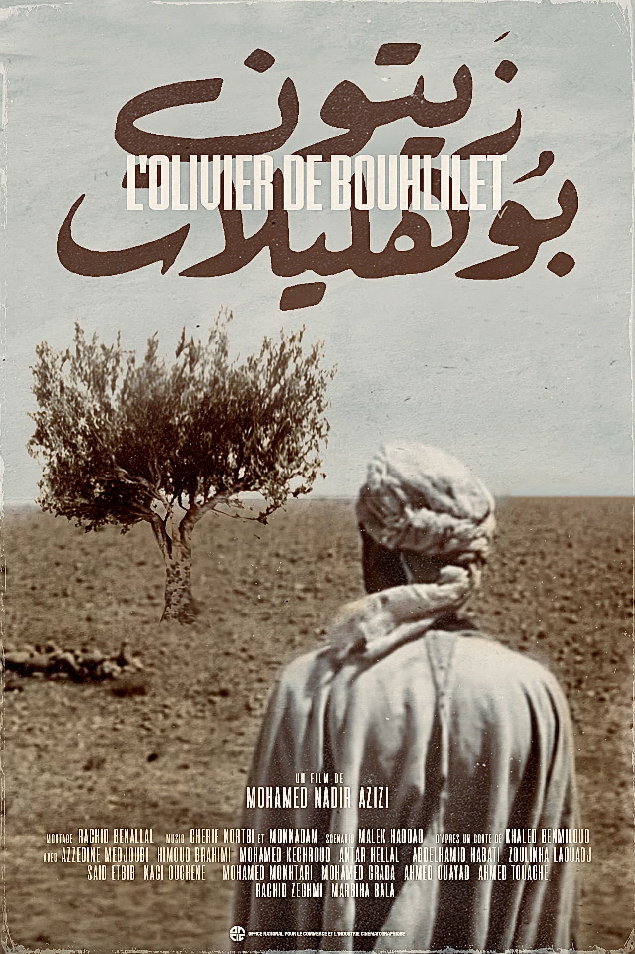 The Olive Tree of Boul'hivet preview 2