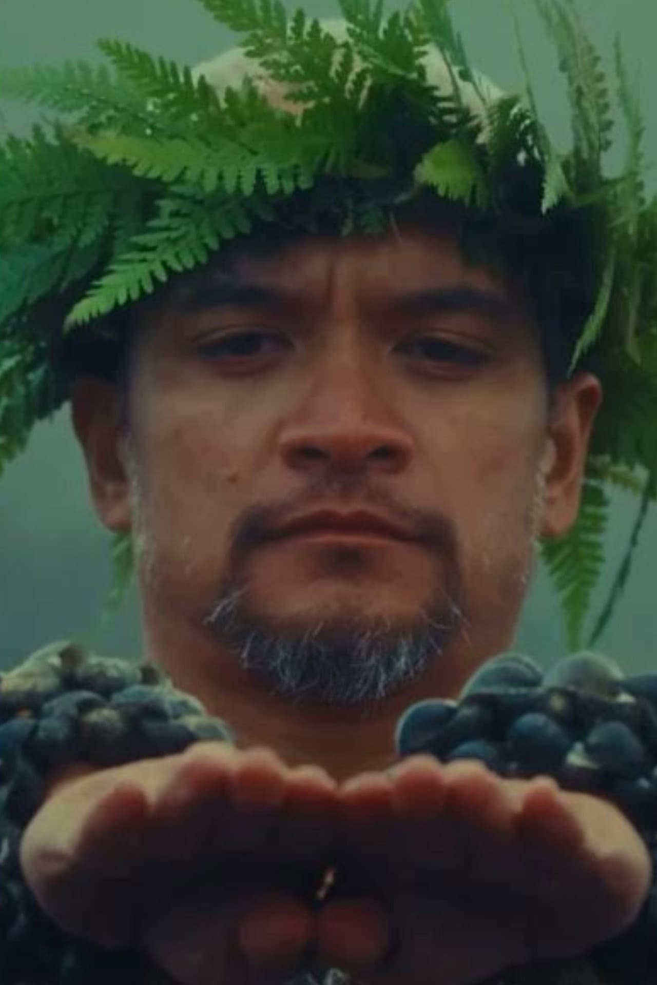 Hula is Hawaii preview 1