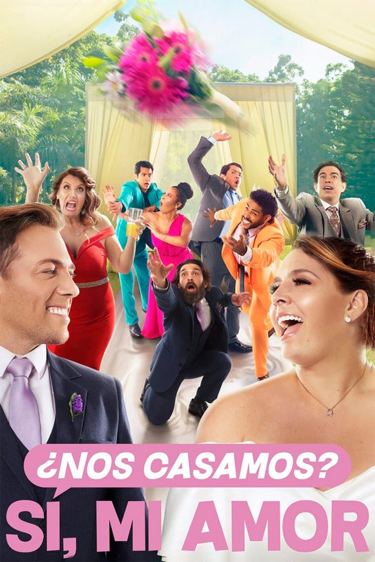 ¿Nos casamos? Sí, mi amor preview 2