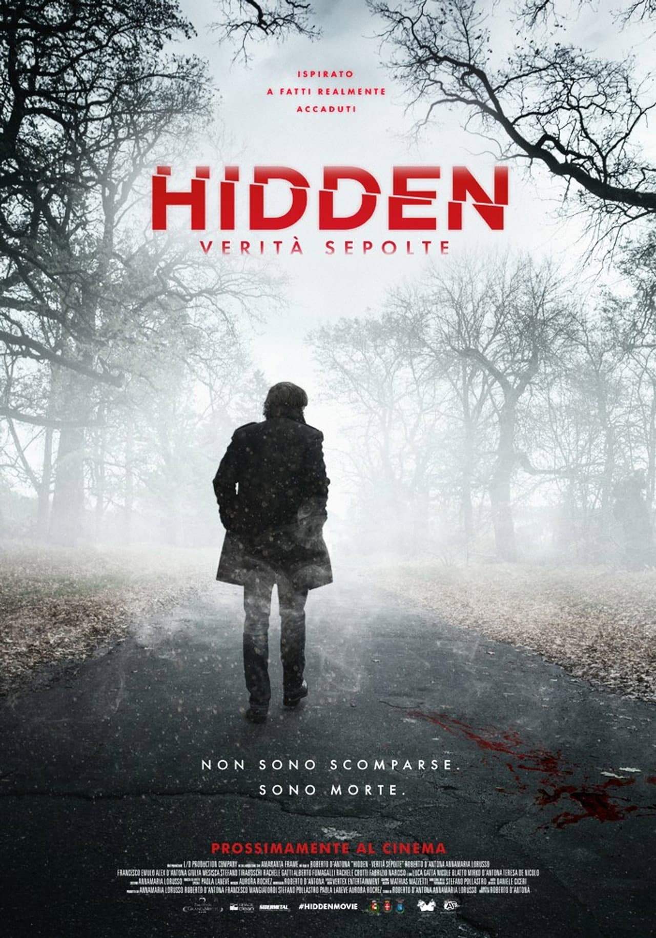 Hidden preview 2