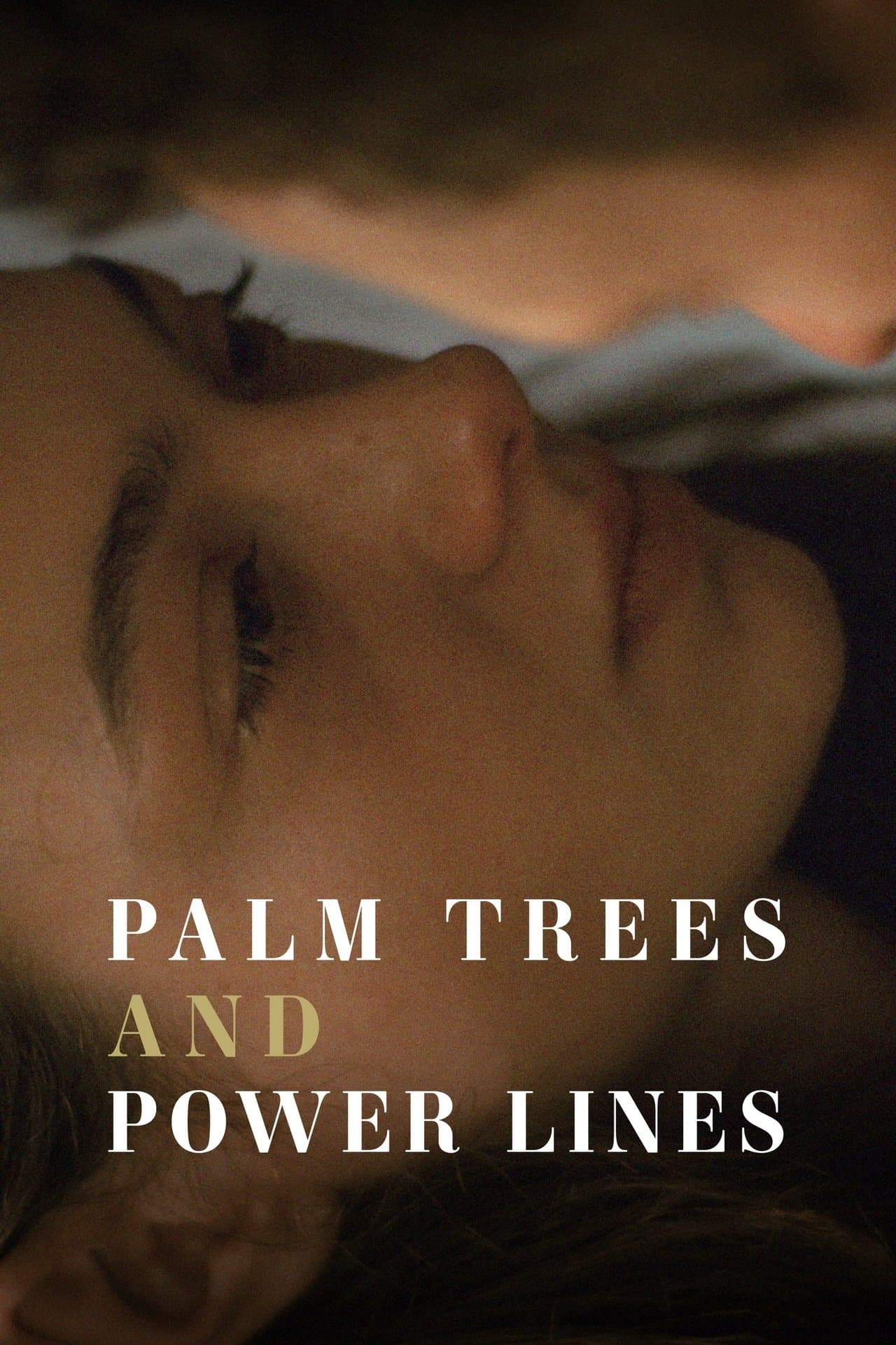 Palm Trees and Power Lines preview 2