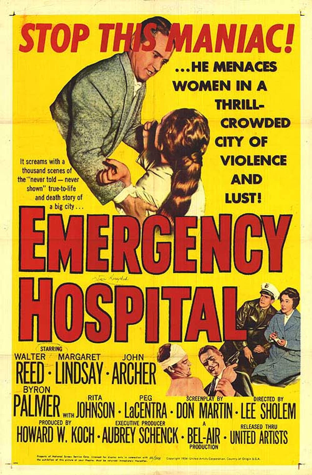 Emergency Hospital preview 2