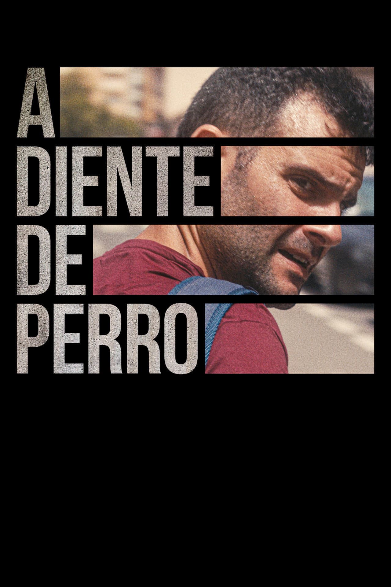 A diente de perro preview 2