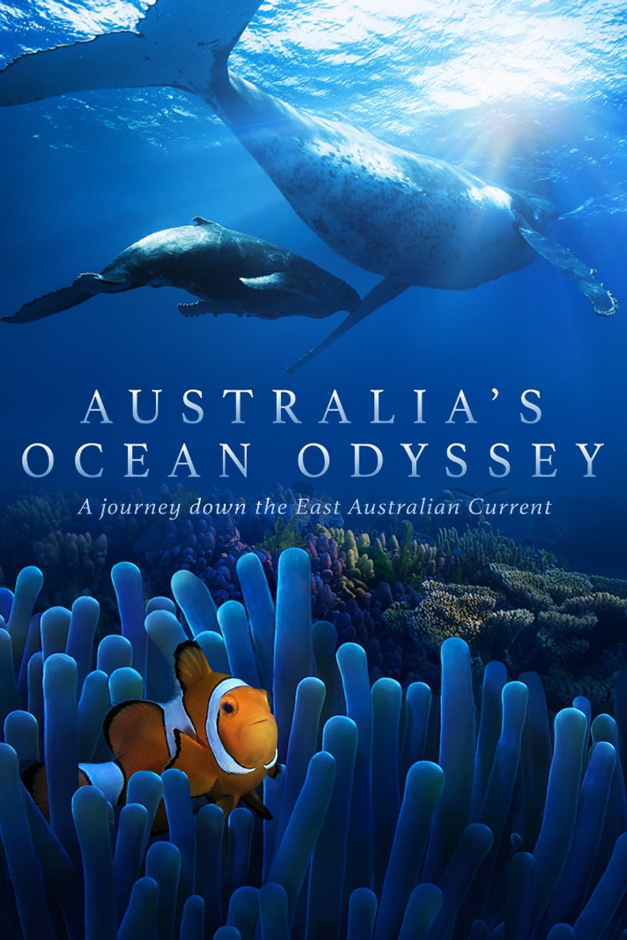 Australia's Ocean Odyssey: A journey down the East Australian Current preview 2