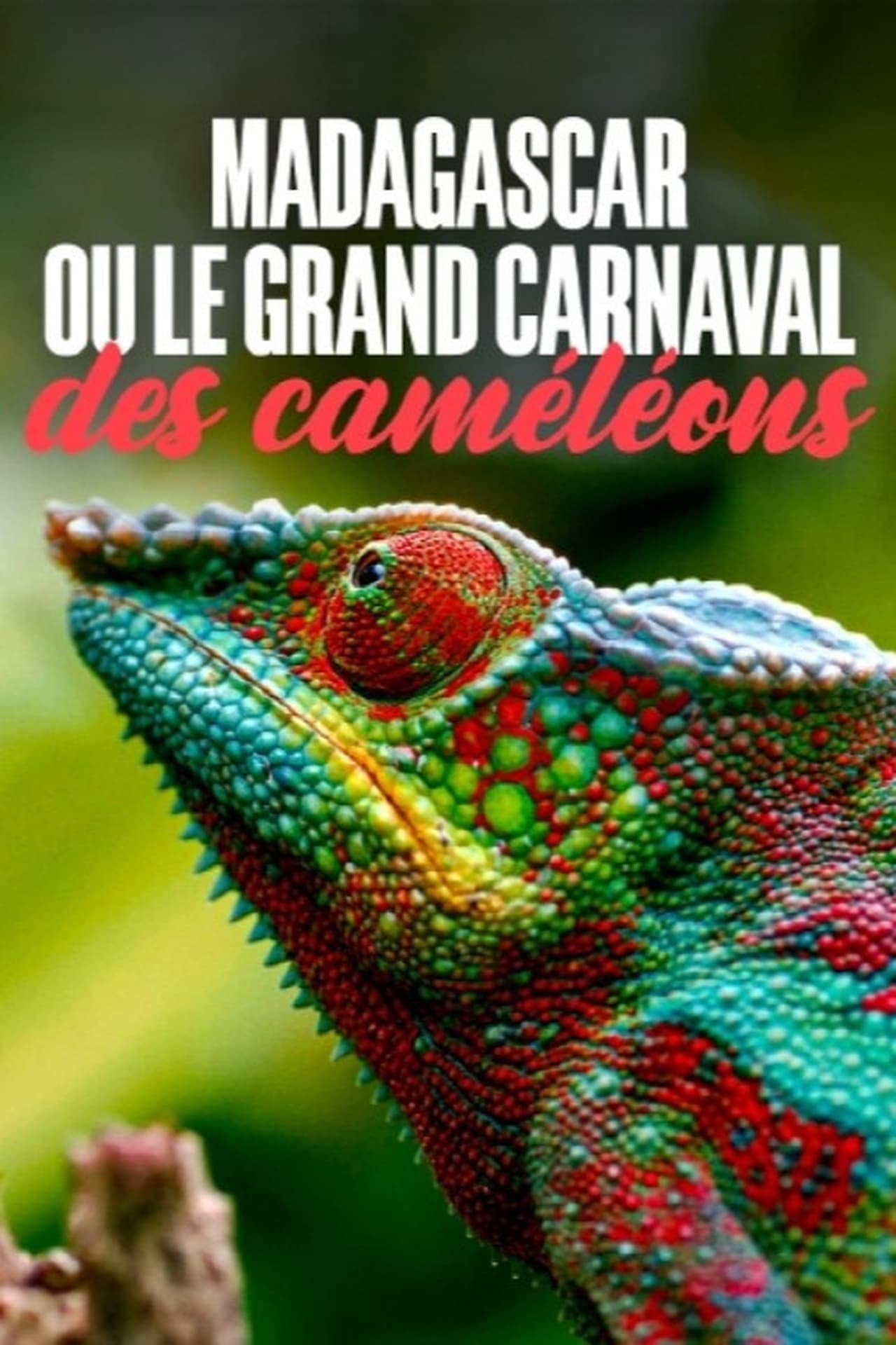 Madagascar or the Great Carnival of the Chameleons preview 2