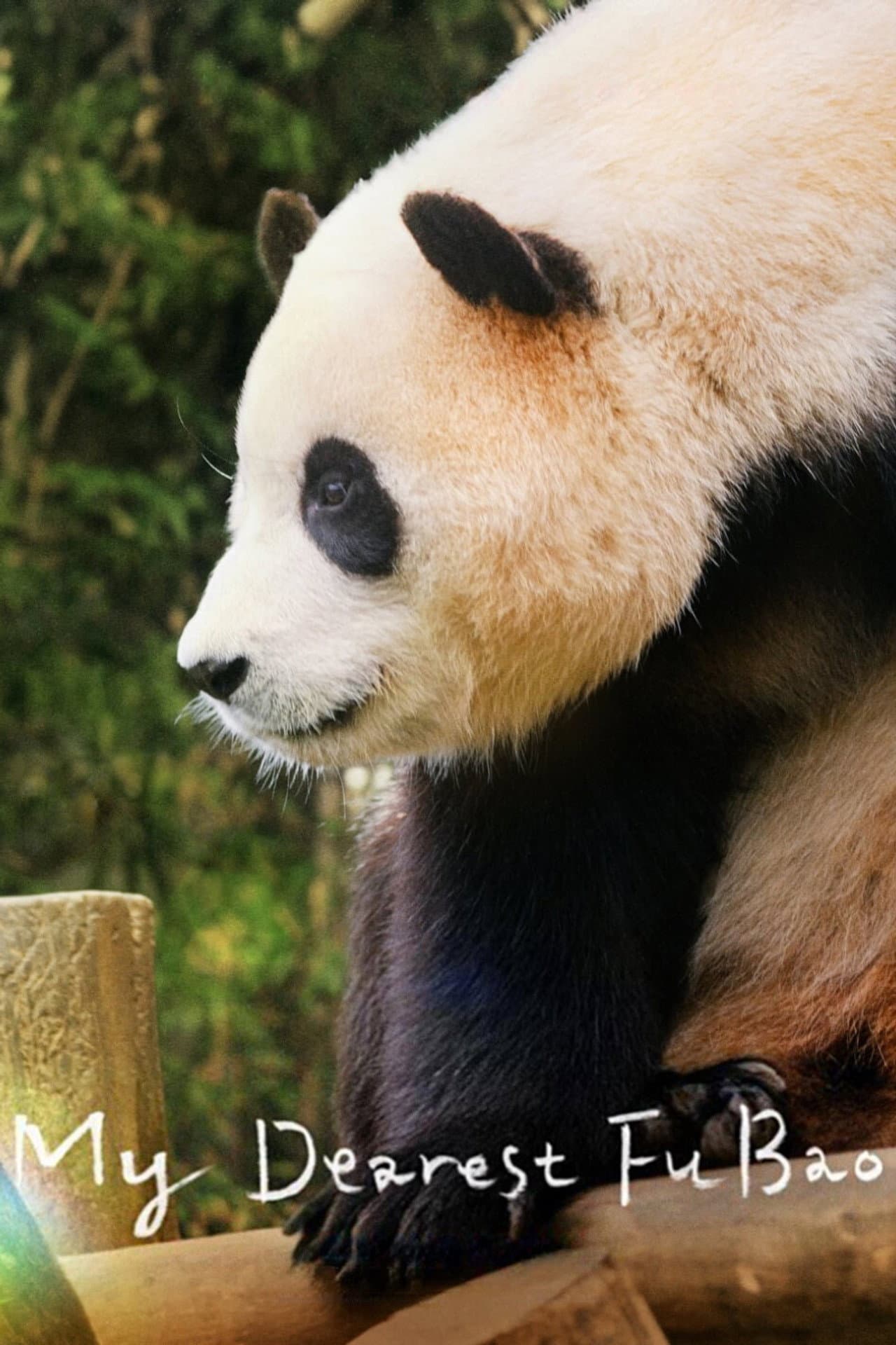 My Dearest Fu Bao preview 2