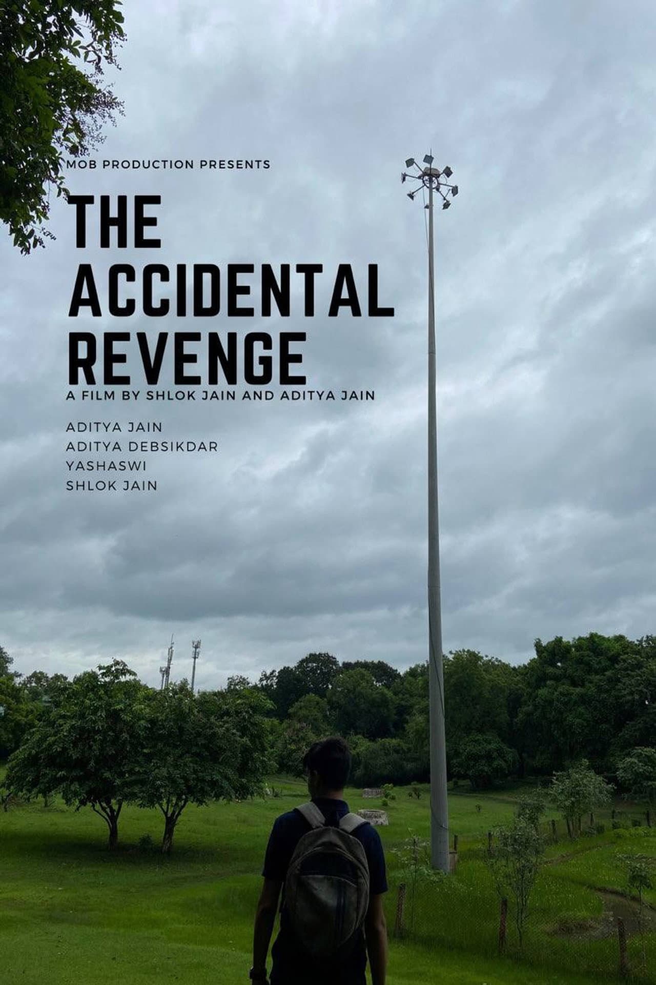 The Accidental Revenge preview 2