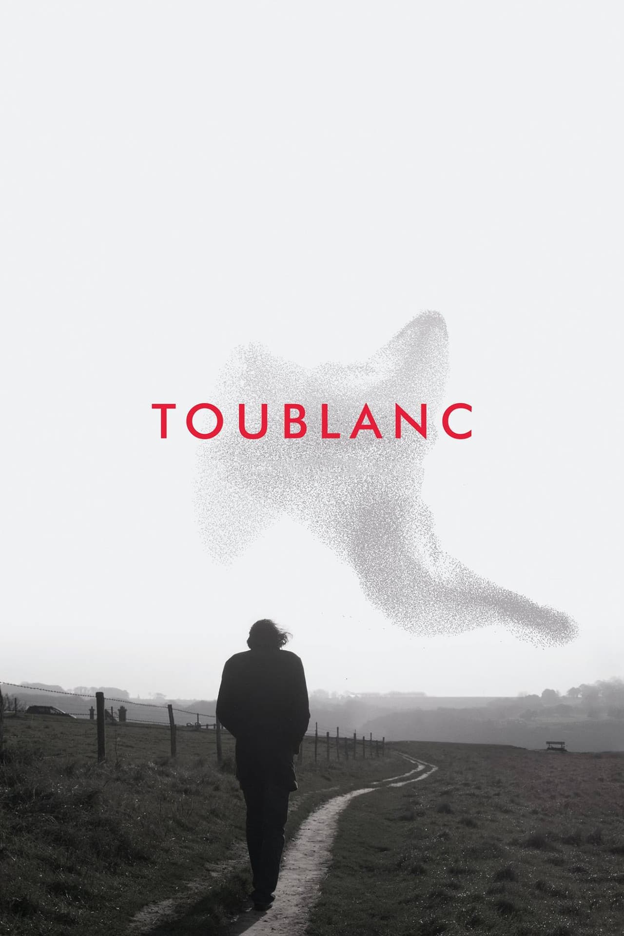 Toublanc preview 2