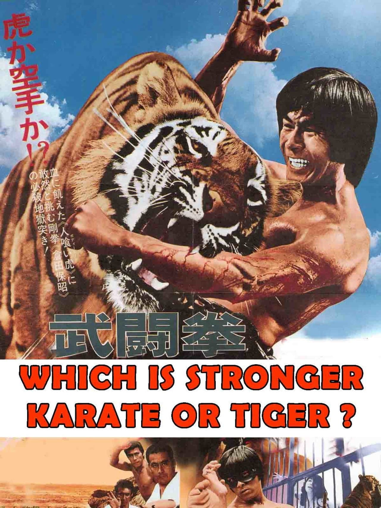 Which Is Stronger, Karate or the Tiger? preview 2