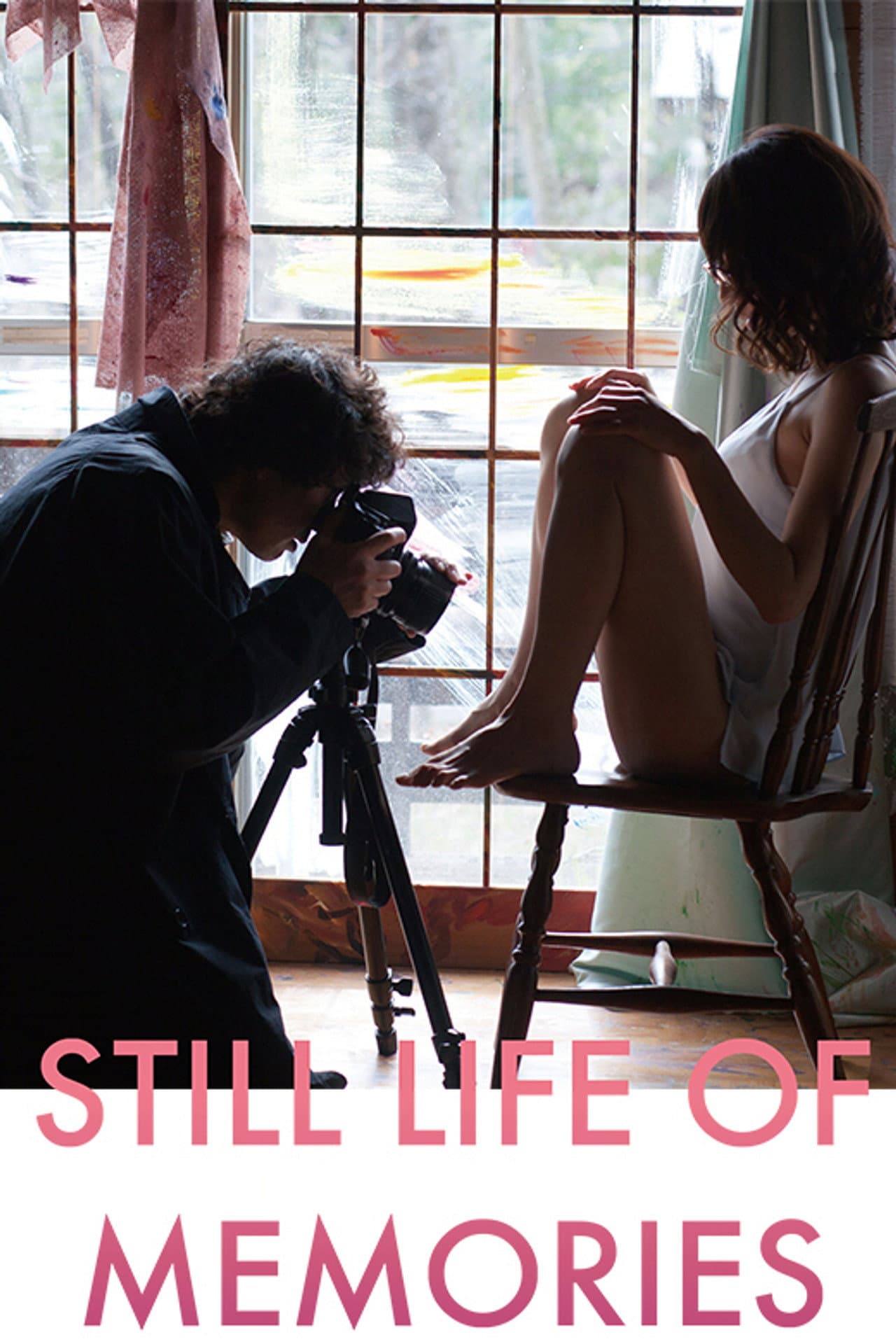 Still Life of Memories preview 2