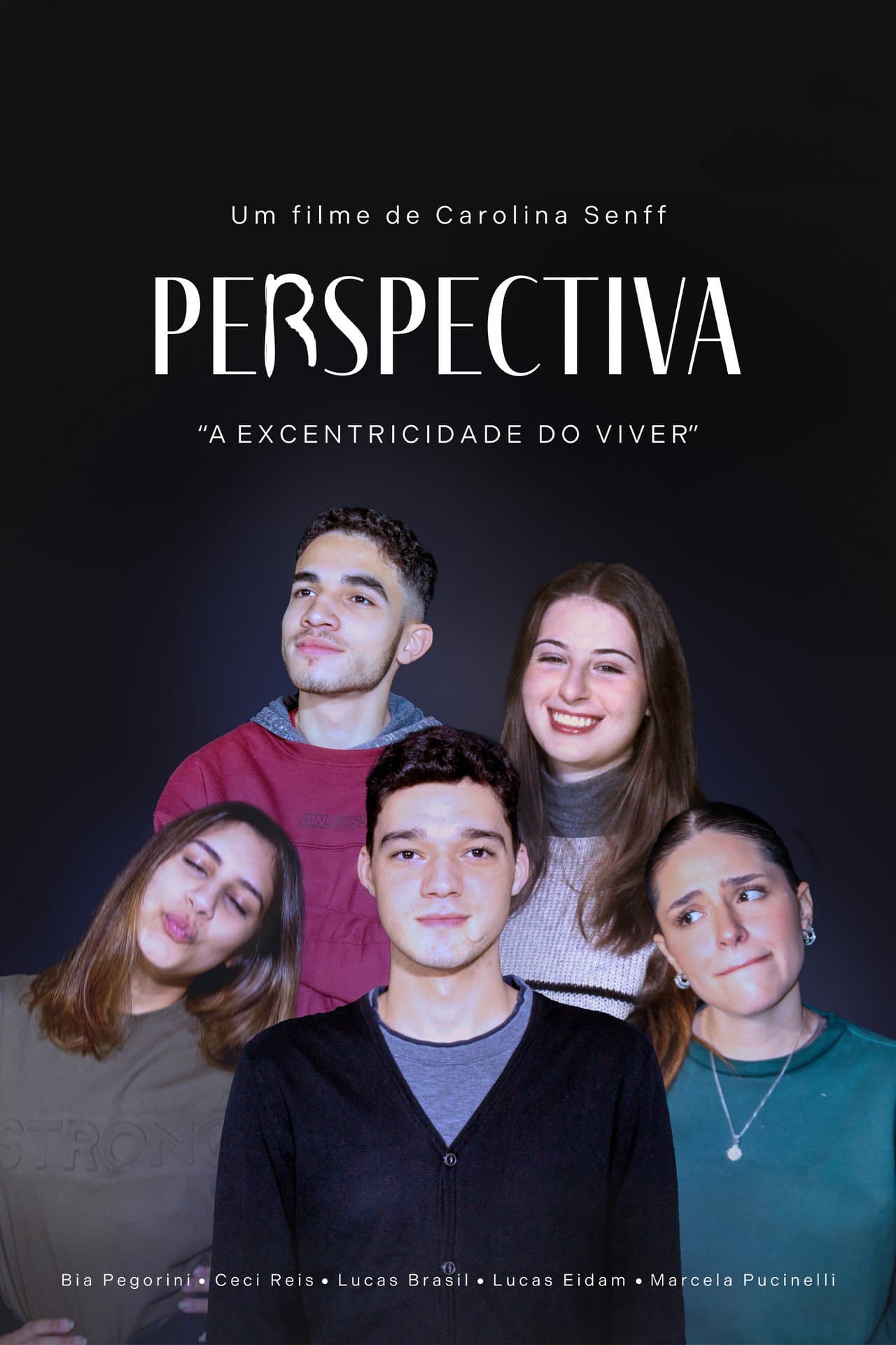 Perspectiva (Versão da Diretora) preview 1