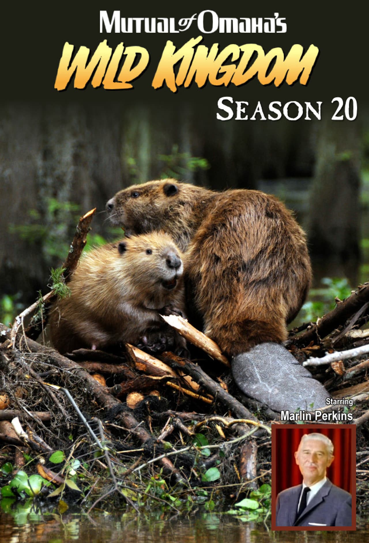 Season 20