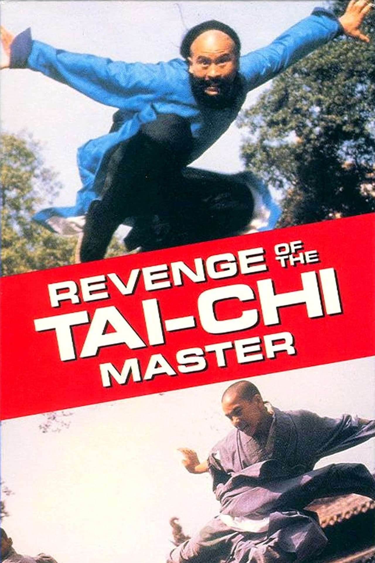 Secret of Tai Chi preview 1