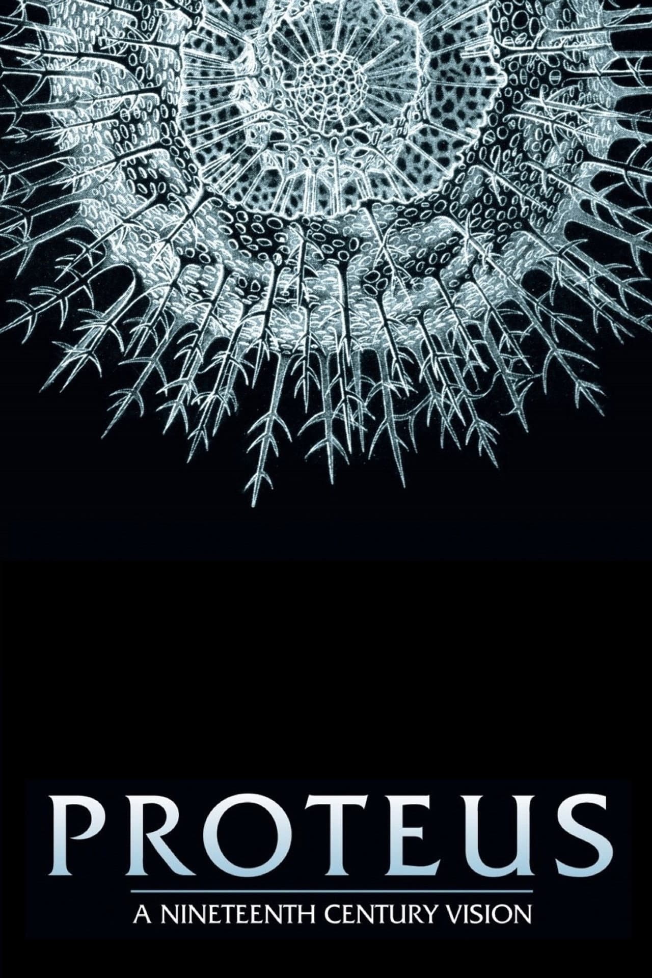 Proteus: A Nineteenth Century Vision preview 1