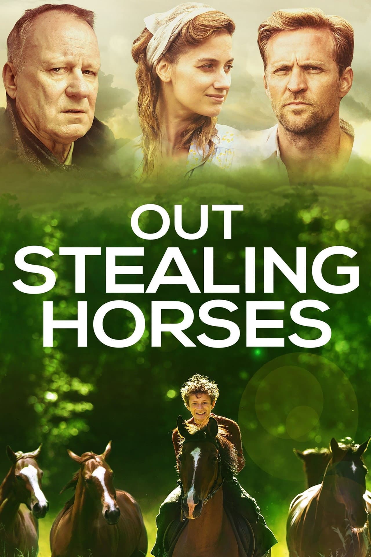 Out Stealing Horses preview 2