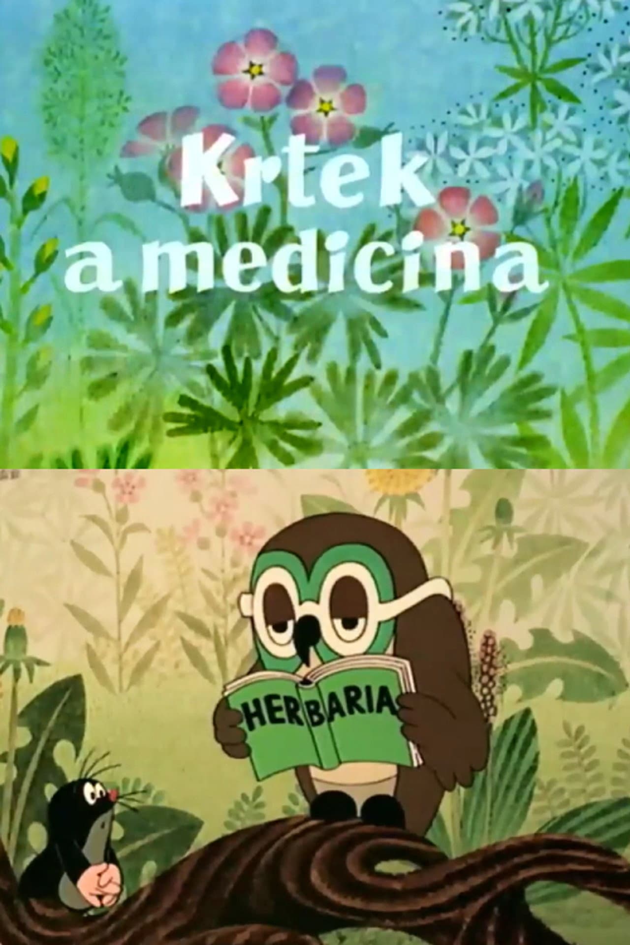 Mole and the Medicine preview 1